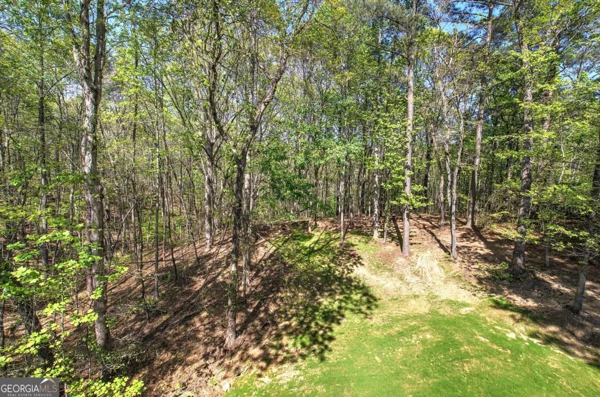 341 Birchwood Farms Ln — photo 55 of 66