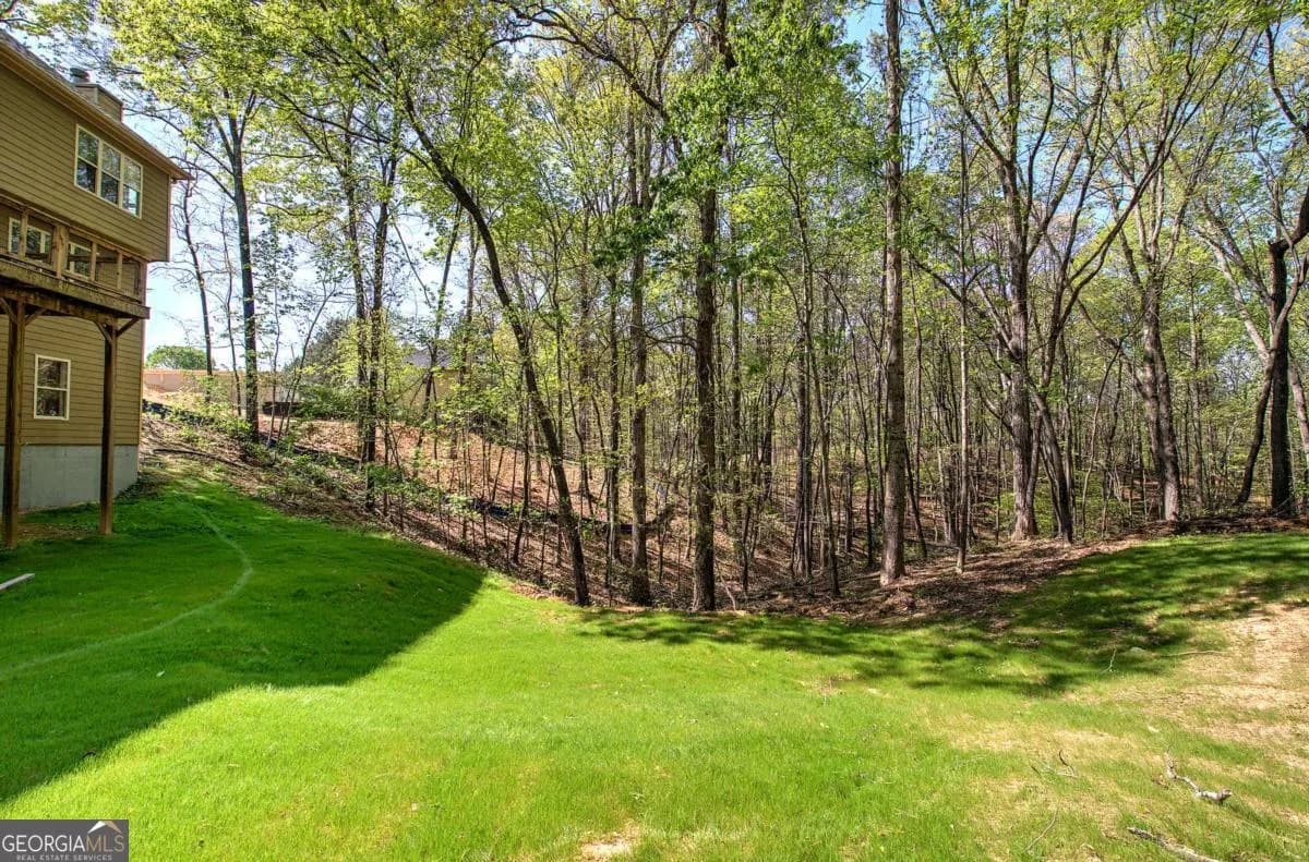 341 Birchwood Farms Ln — photo 60 of 66