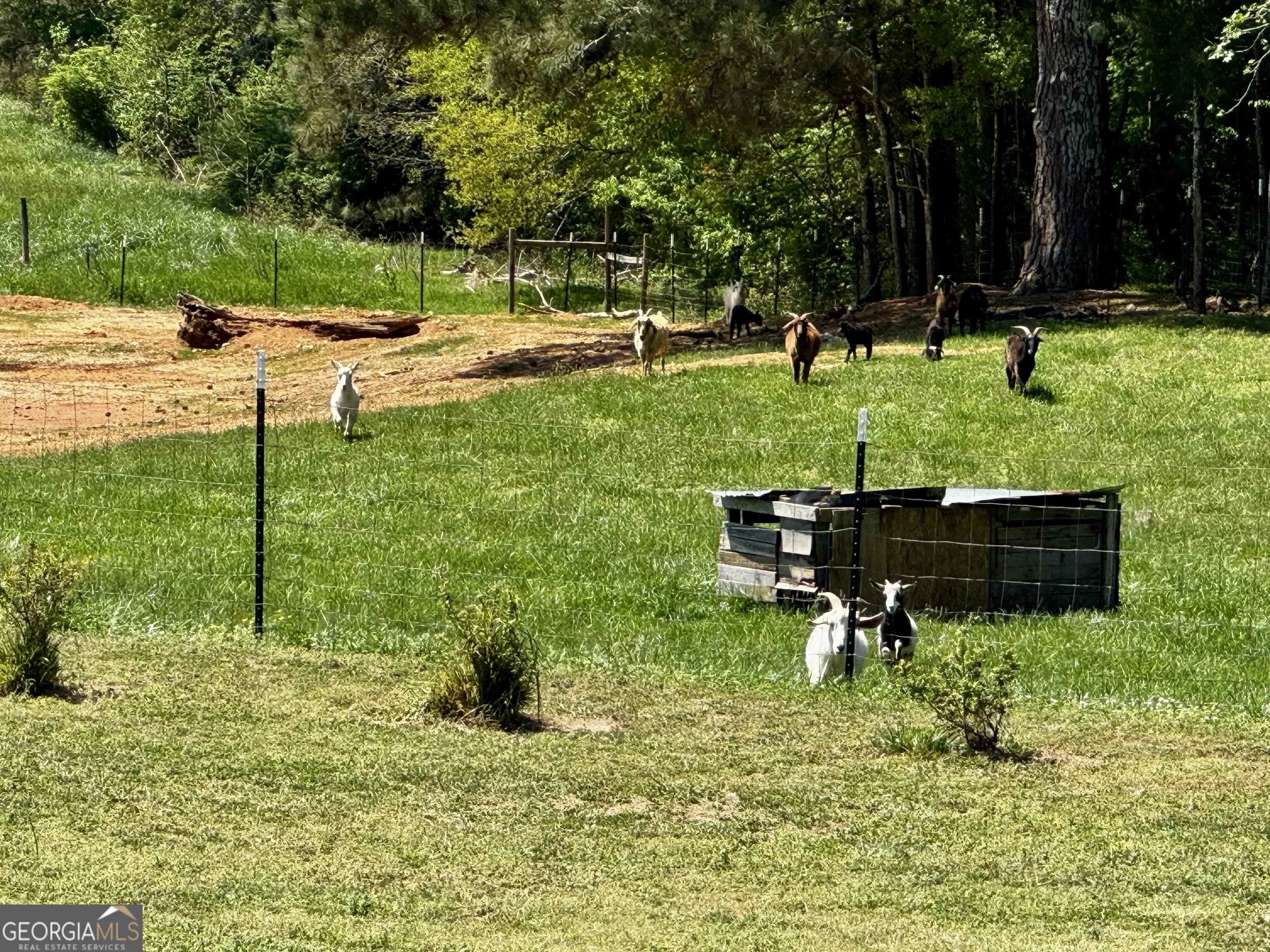 4515 Jacksonville Rd — photo 33 of 42