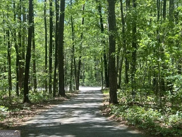 1301 Bob Hunton Rd — photo 53 of 59