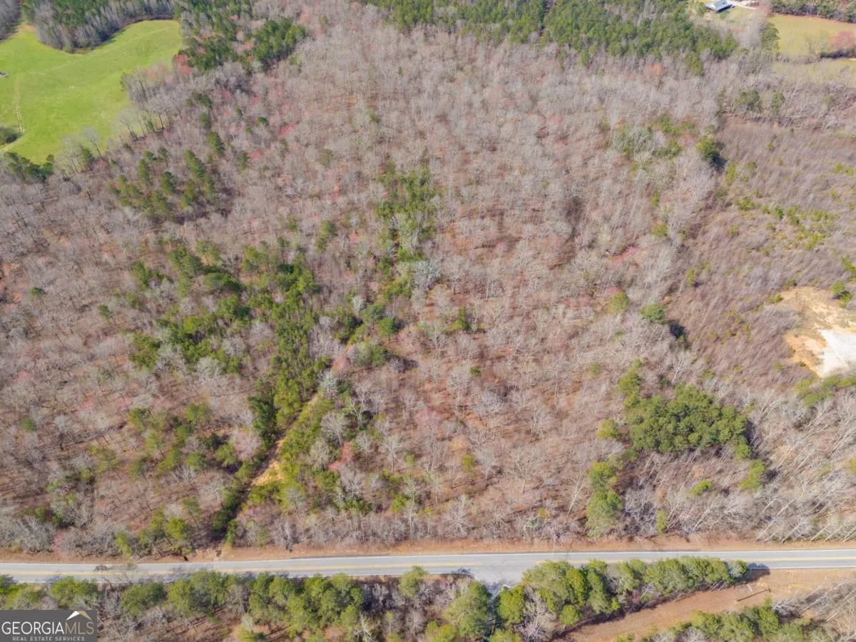 Tract5 Georgia Highway 100 — photo 6 of 9