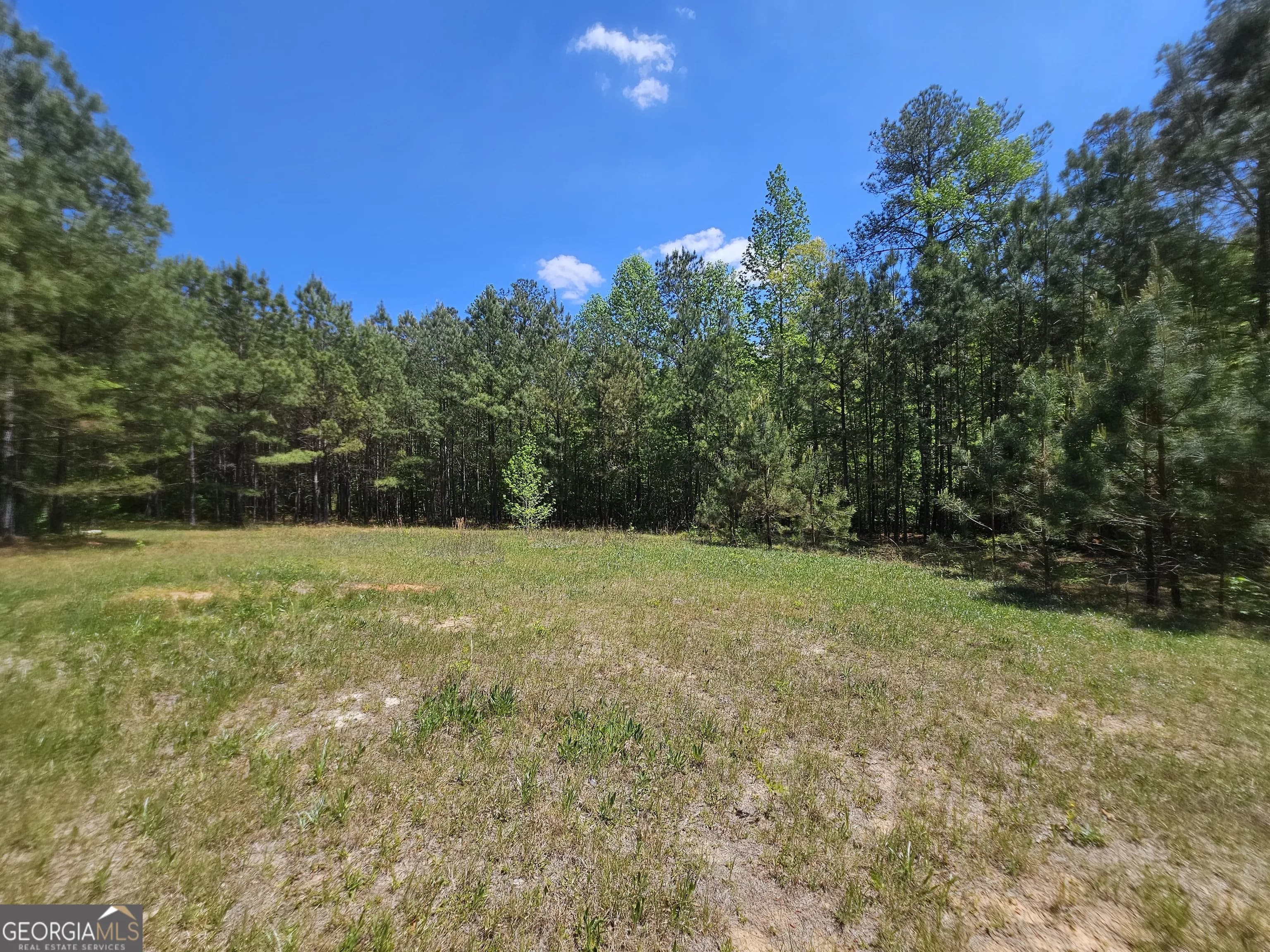 6534 Ga Highway 219 — photo 34 of 42