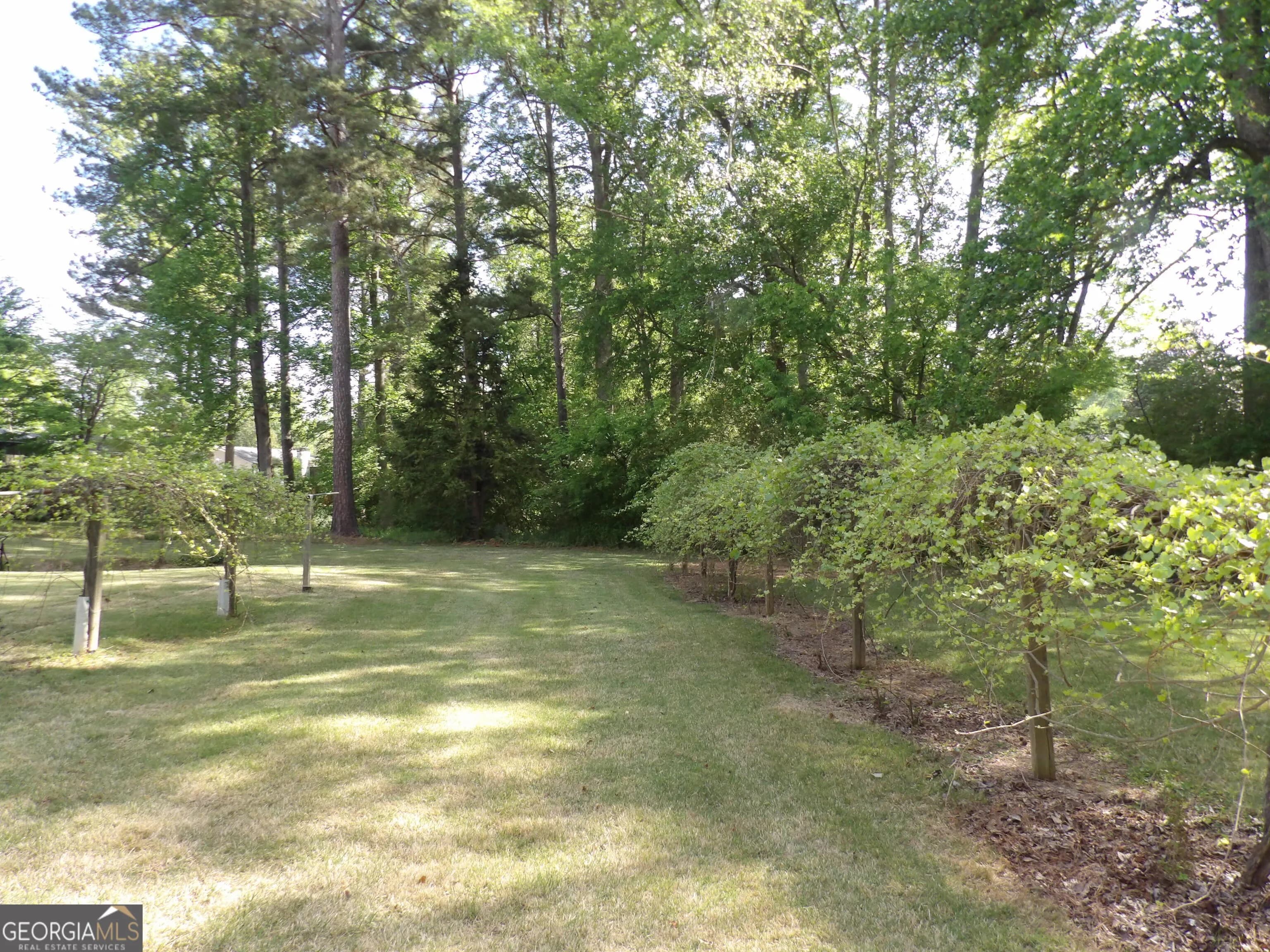 138 Ponderosa Dr — photo 42 of 51