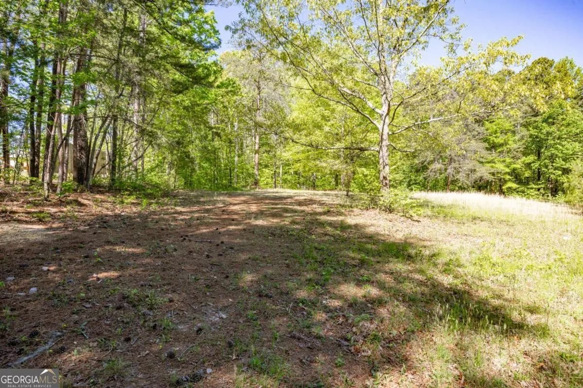 8277 Buchanan Hwy — photo 54 of 67