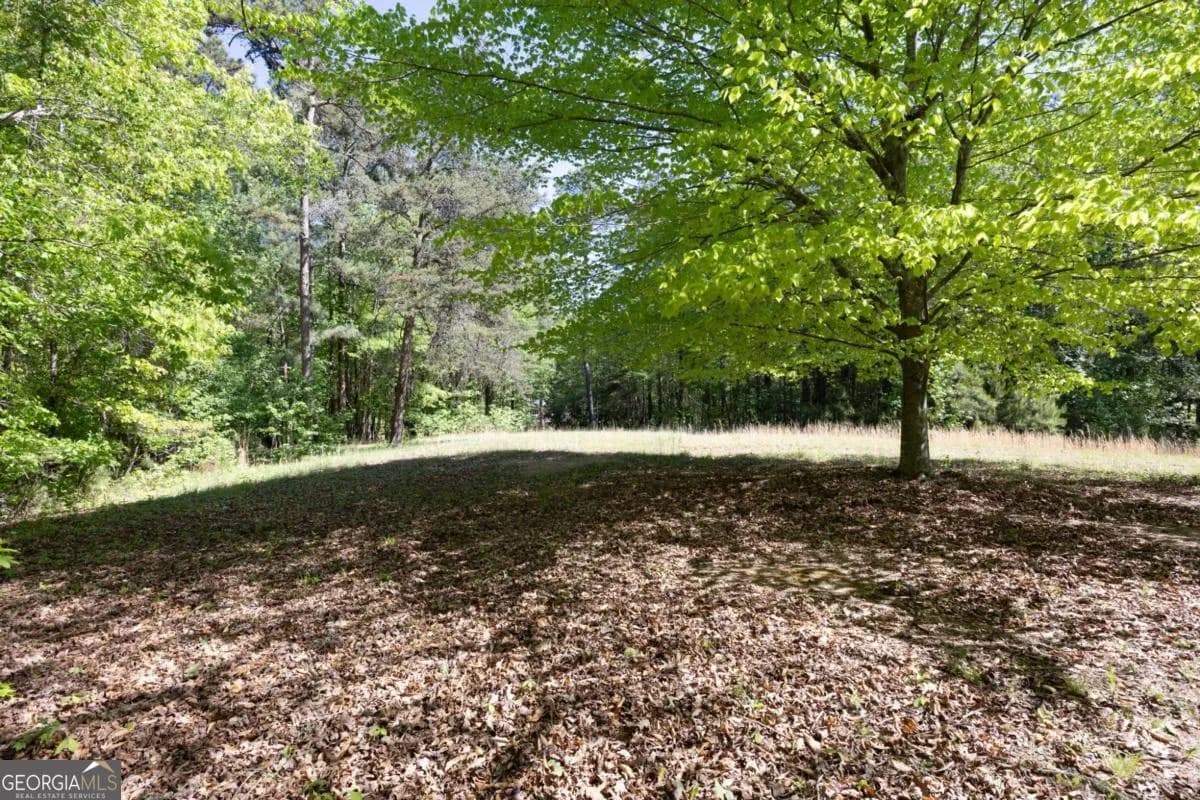 8277 Buchanan Hwy — photo 26 of 67