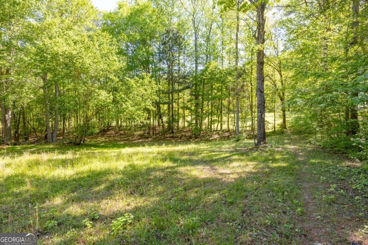 8277 Buchanan Hwy — photo 27 of 67