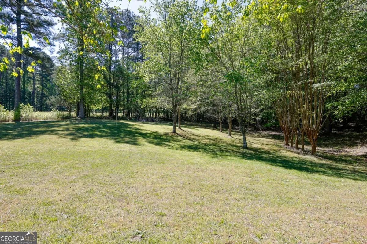 8277 Buchanan Hwy — photo 56 of 67