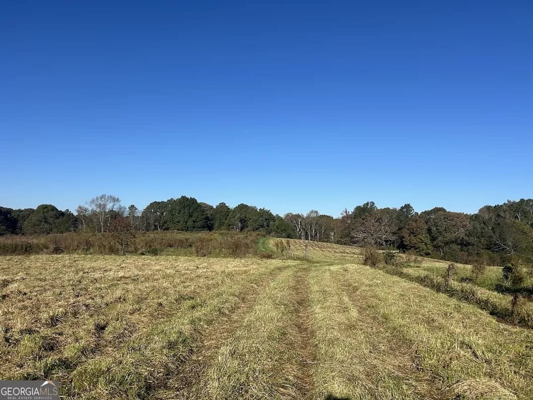 0 Old Columbus Rd — photo 19 of 26