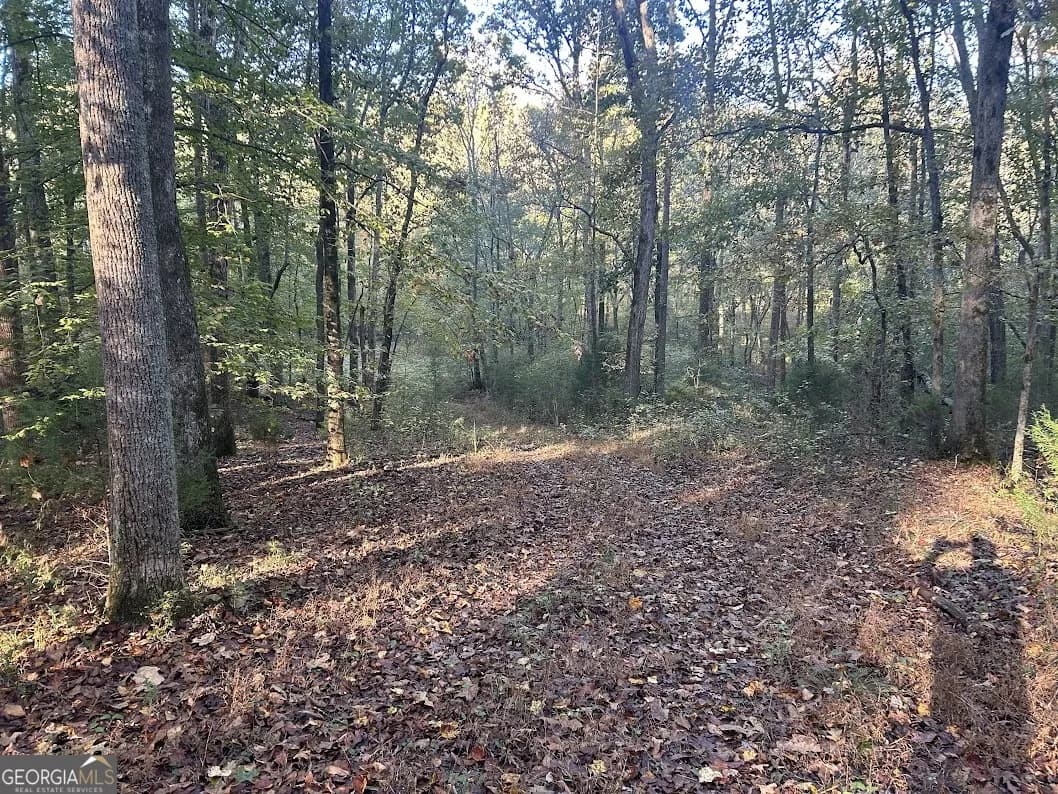 0 Old Columbus Rd — photo 15 of 26