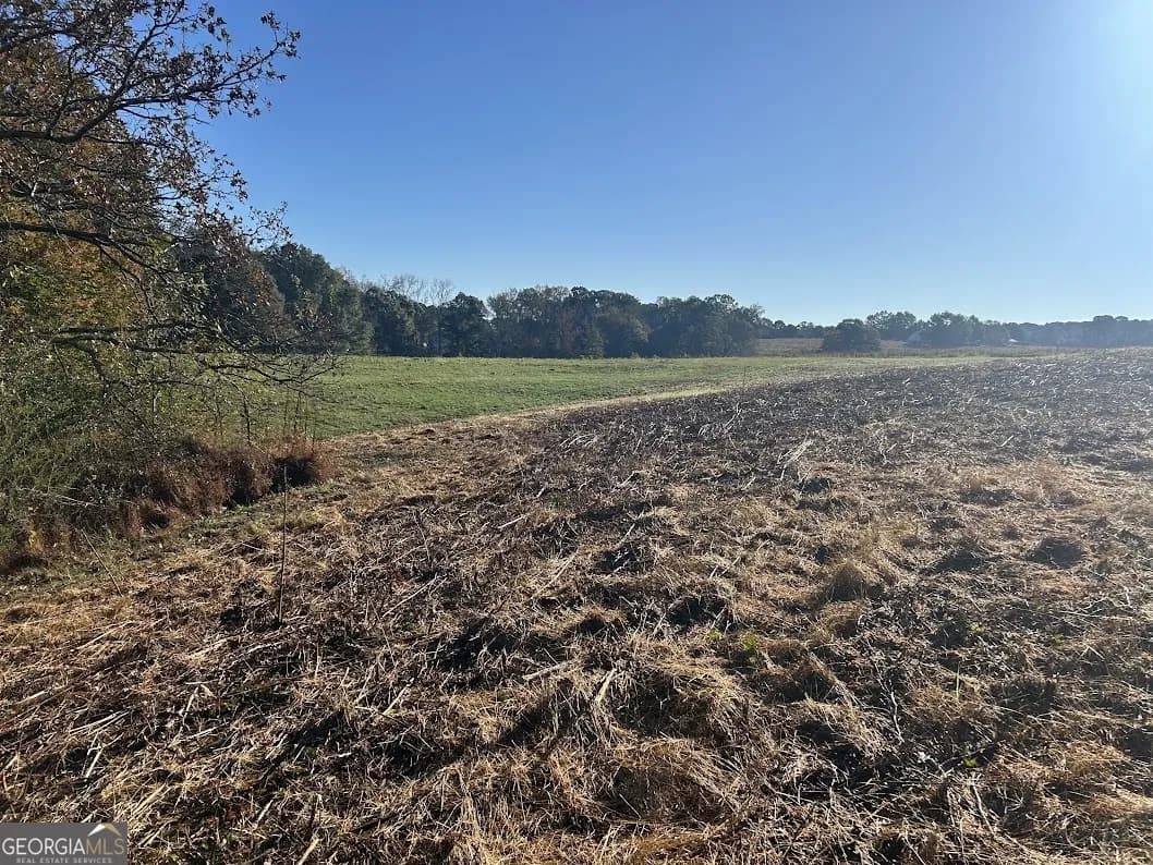0 Old Columbus Rd — photo 18 of 26