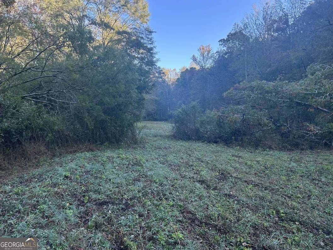0 Old Columbus Rd — photo 4 of 26