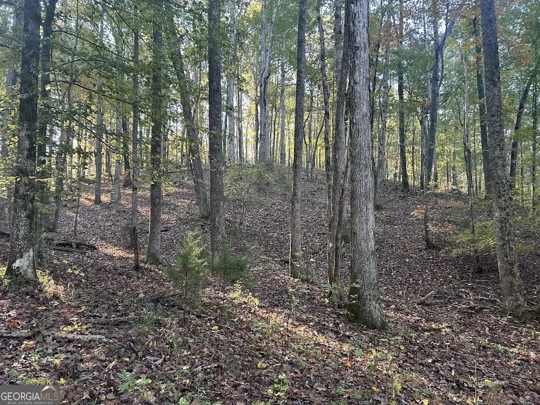 0 Old Columbus Rd — photo 14 of 26