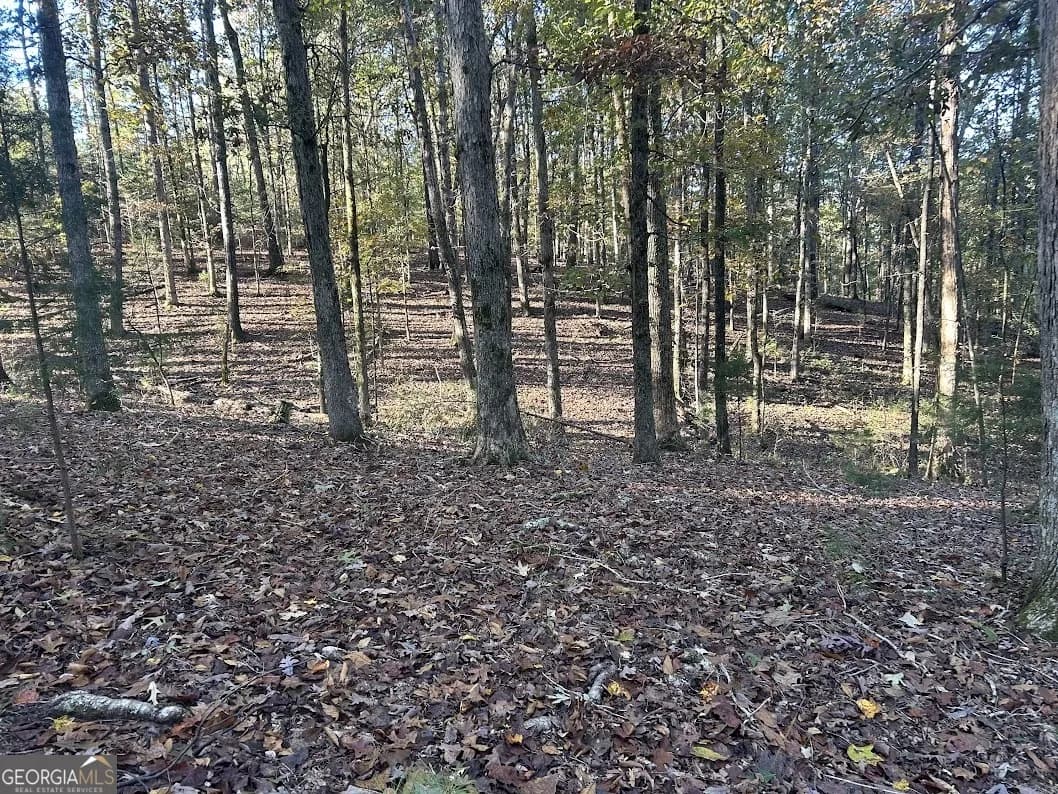 0 Old Columbus Rd — photo 25 of 26