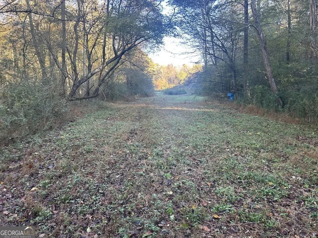 0 Old Columbus Rd — photo 10 of 26