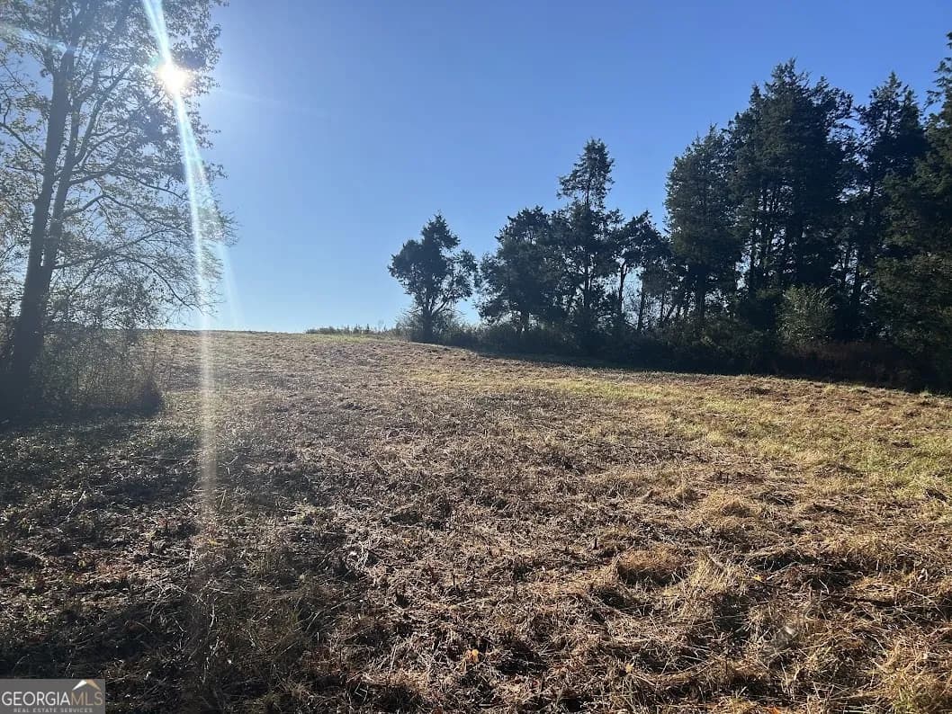0 Old Columbus Rd — photo 17 of 26
