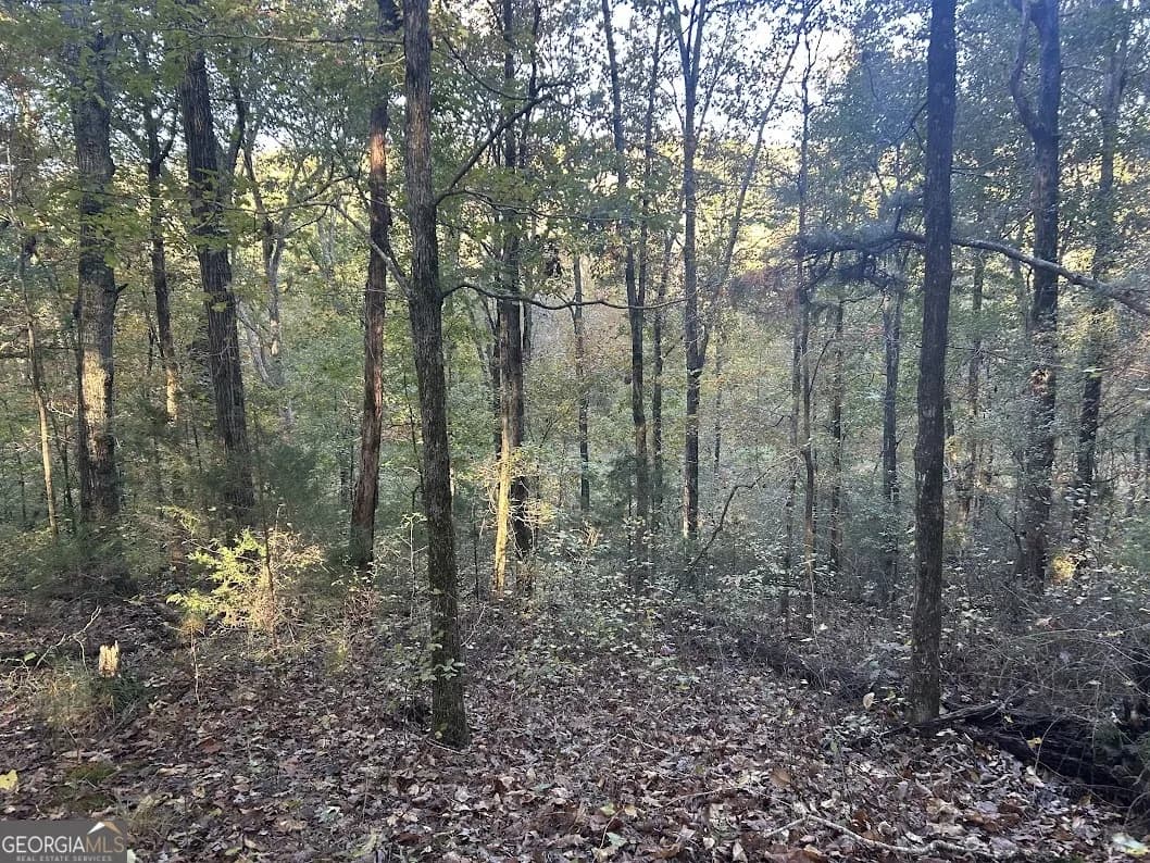 0 Old Columbus Rd — photo 26 of 26