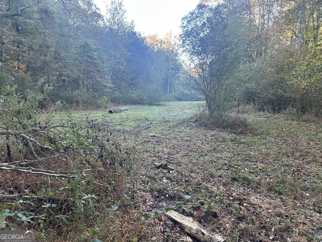 0 Old Columbus Rd — photo 11 of 26