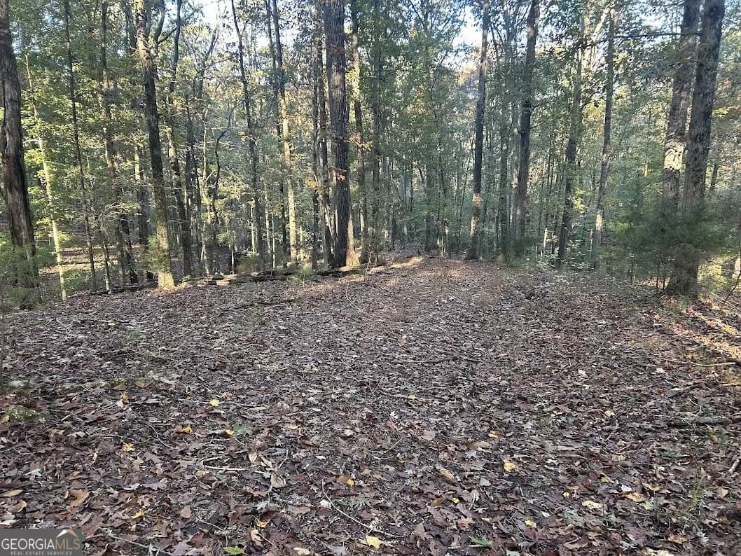 0 Old Columbus Rd — photo 16 of 26