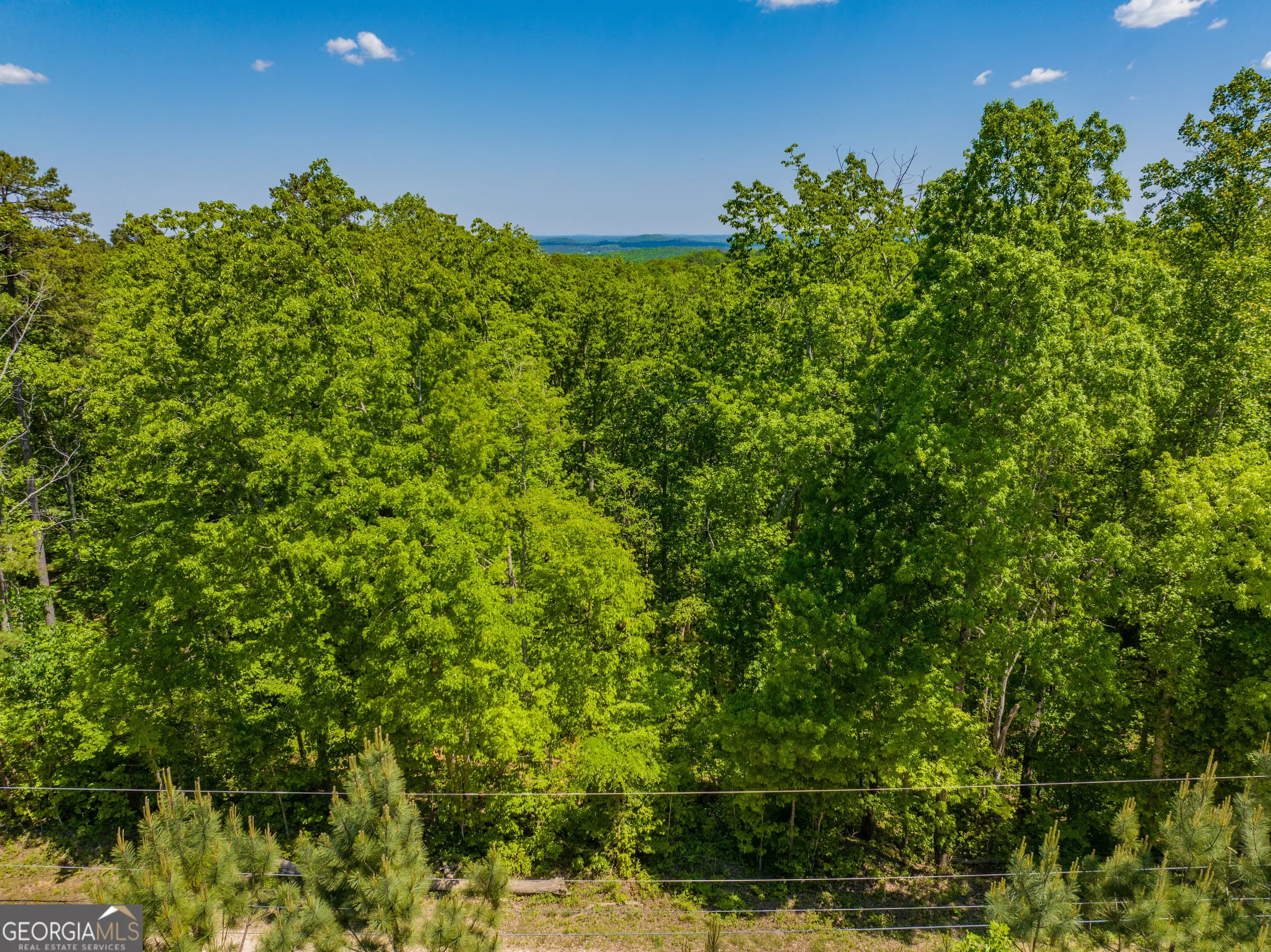 16 Acres Gun Club Rd — photo 16 of 16