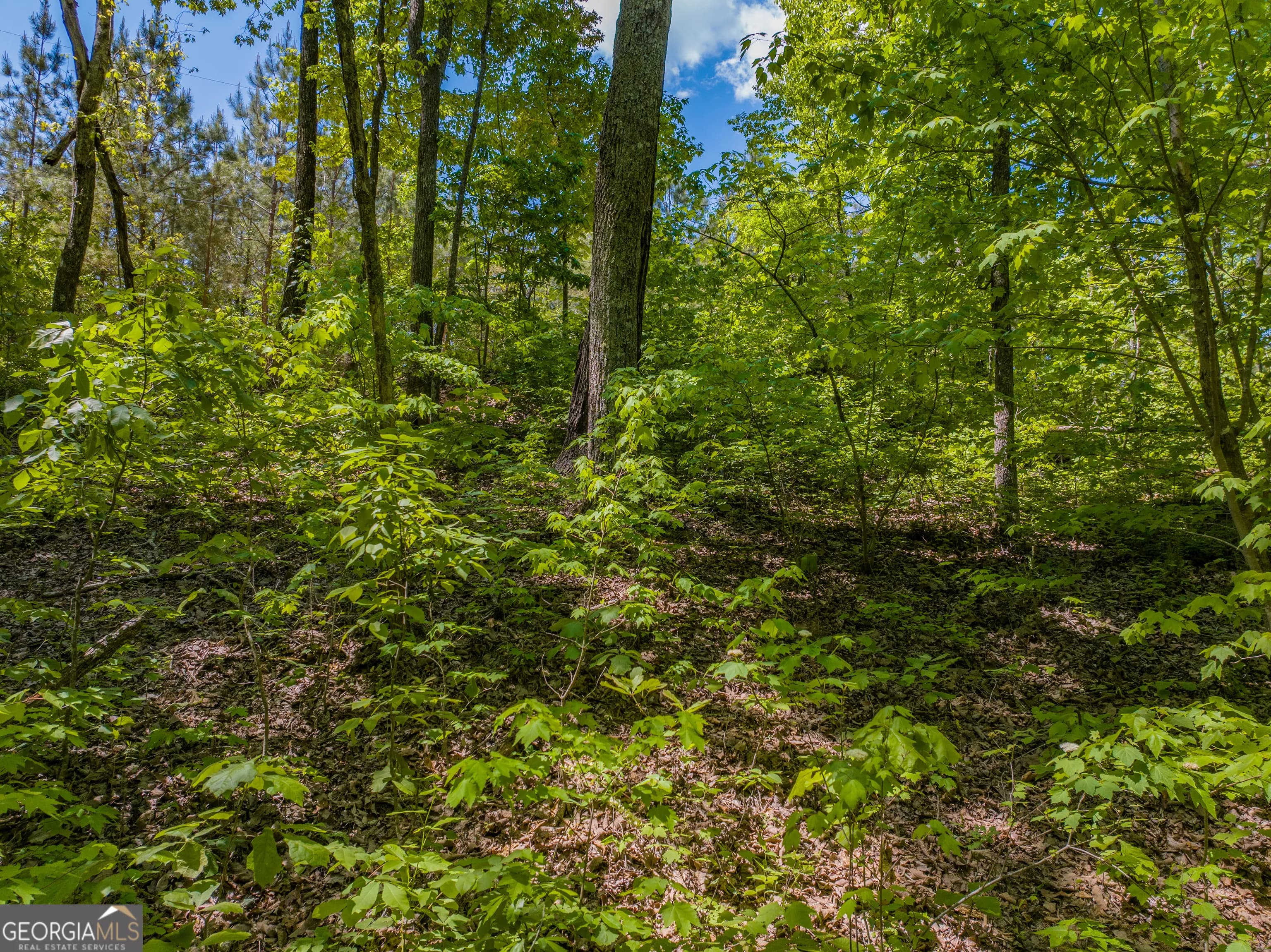 16 Acres Gun Club Rd — photo 4 of 16