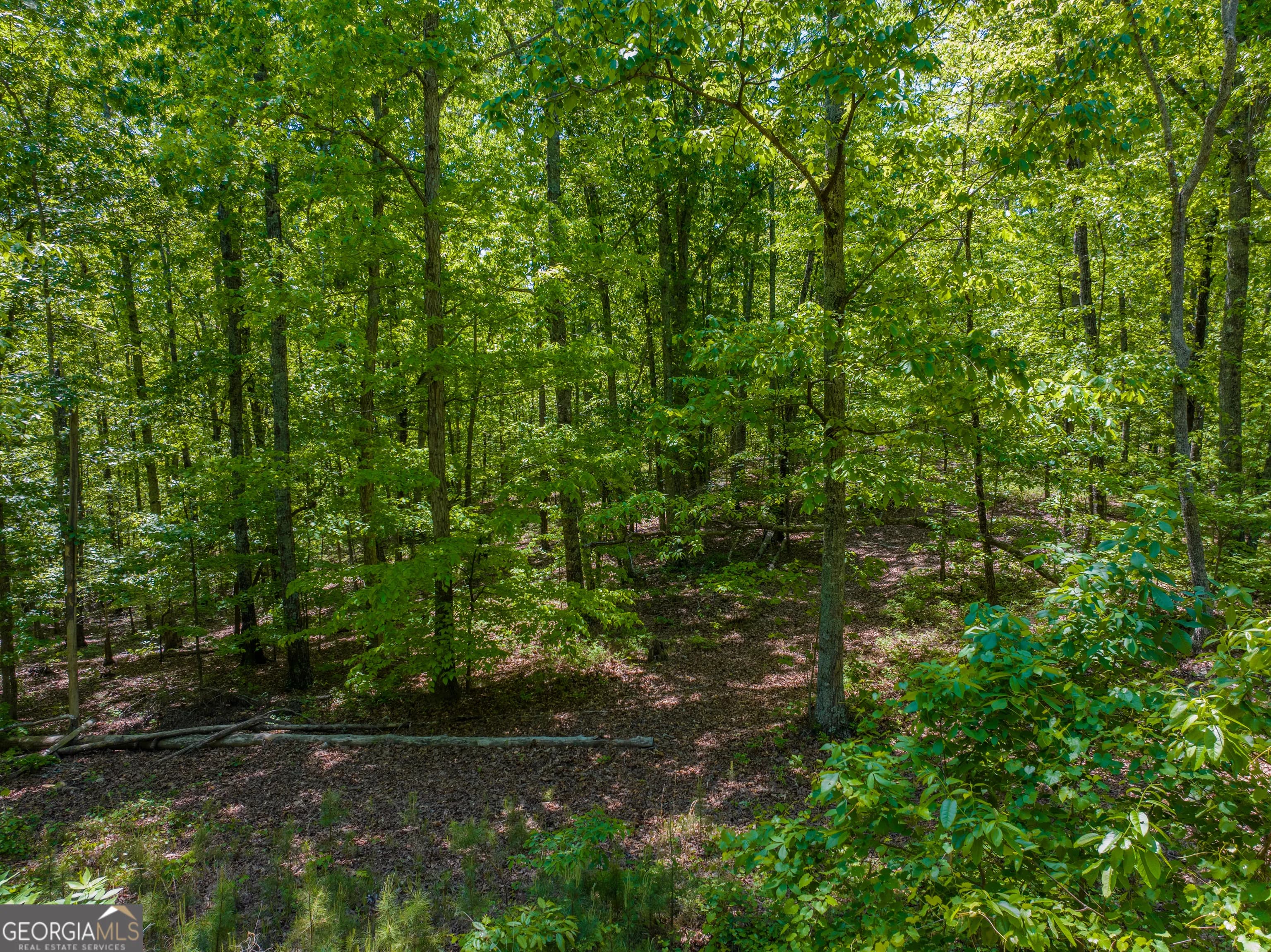 16 Acres Gun Club Rd — photo 7 of 16