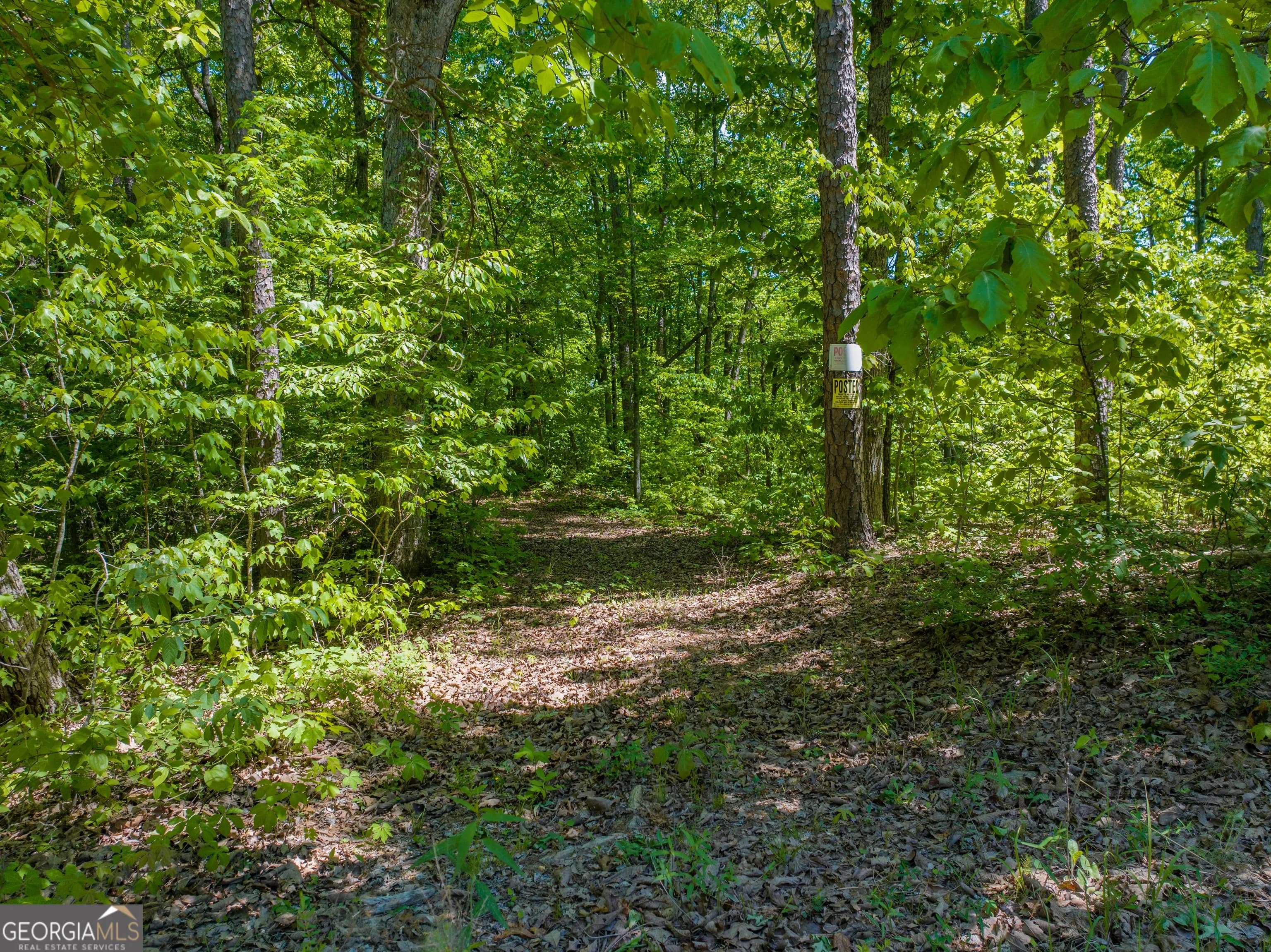 16 Acres Gun Club Rd — photo 2 of 16