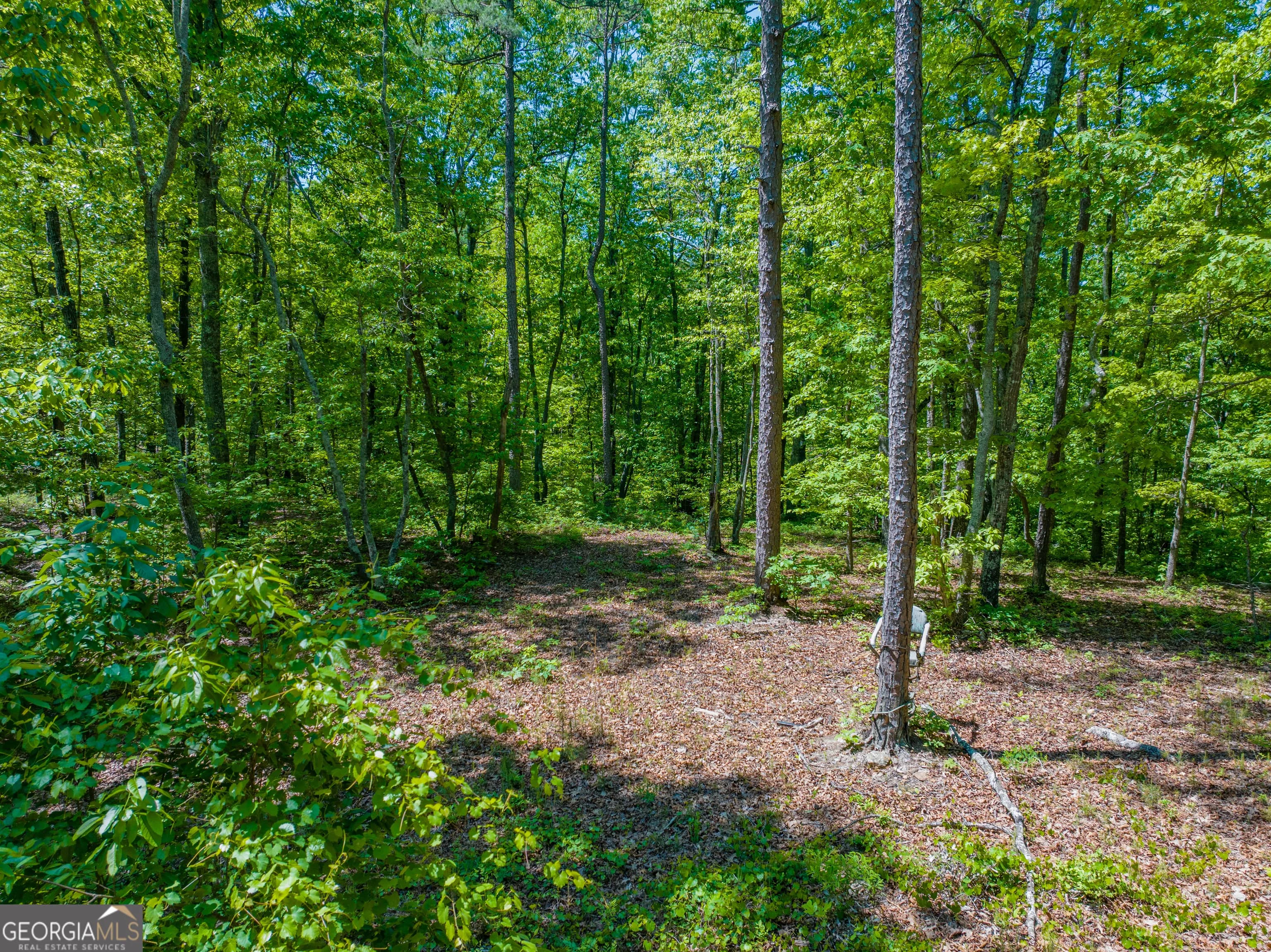 16 Acres Gun Club Rd — photo 6 of 16
