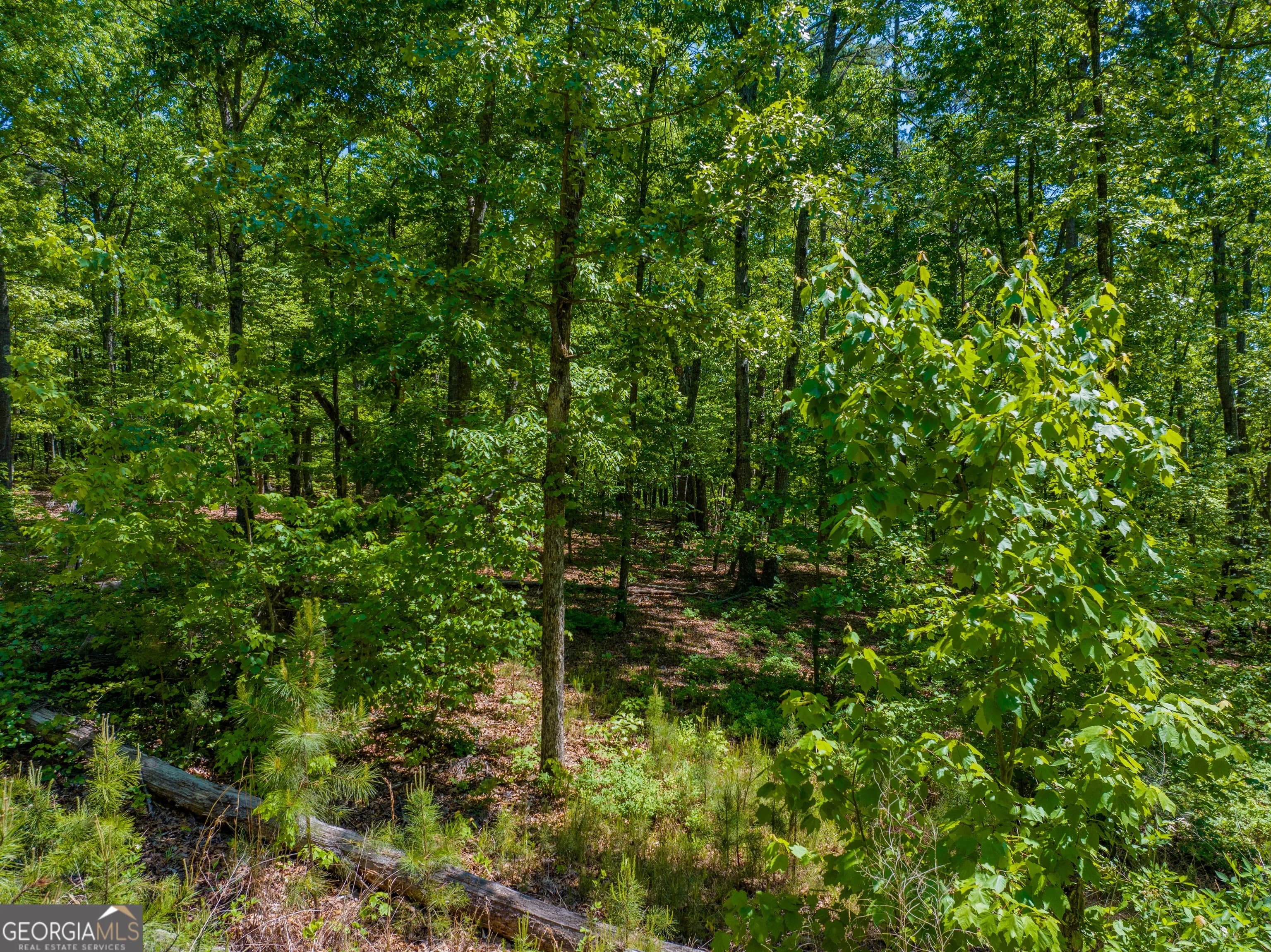 16 Acres Gun Club Rd — photo 8 of 16