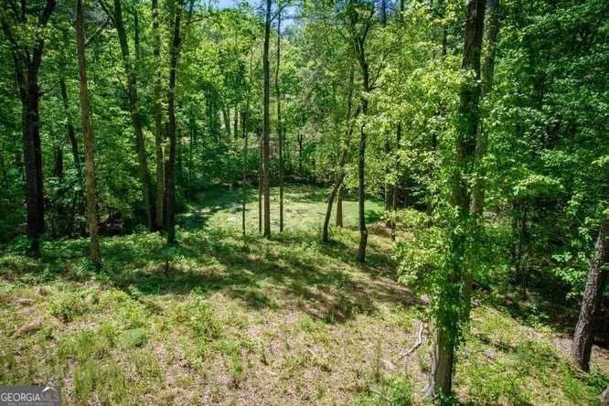 4854 Ivey Ln — photo 73 of 87
