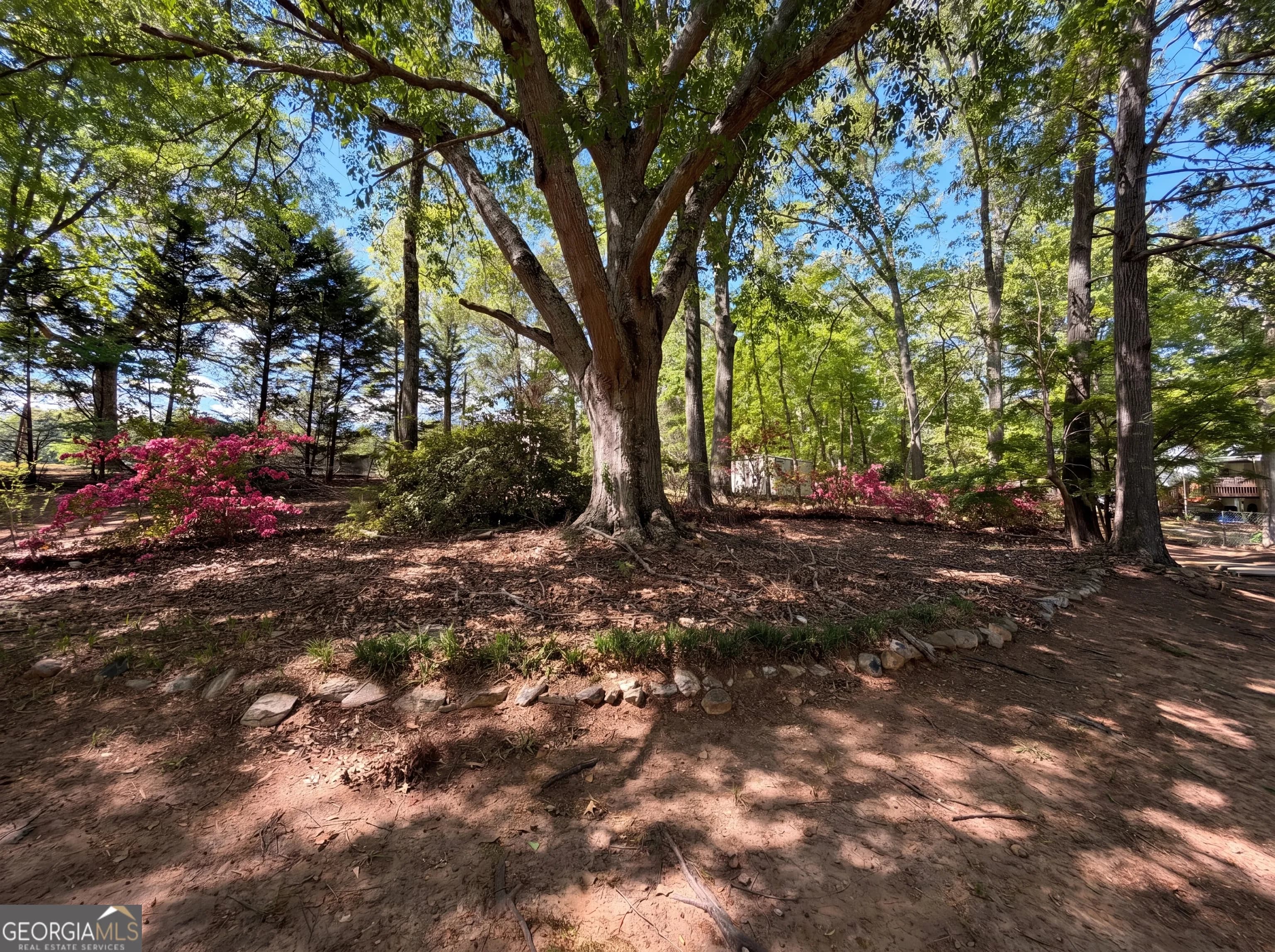 123 Burton Dr — photo 17 of 25