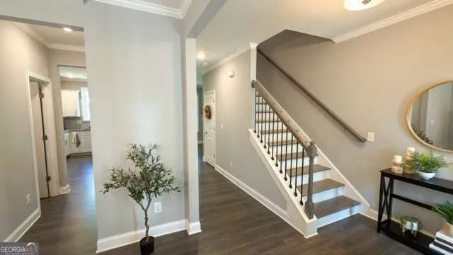 832 Brown Thrasher Way — photo 9 of 37