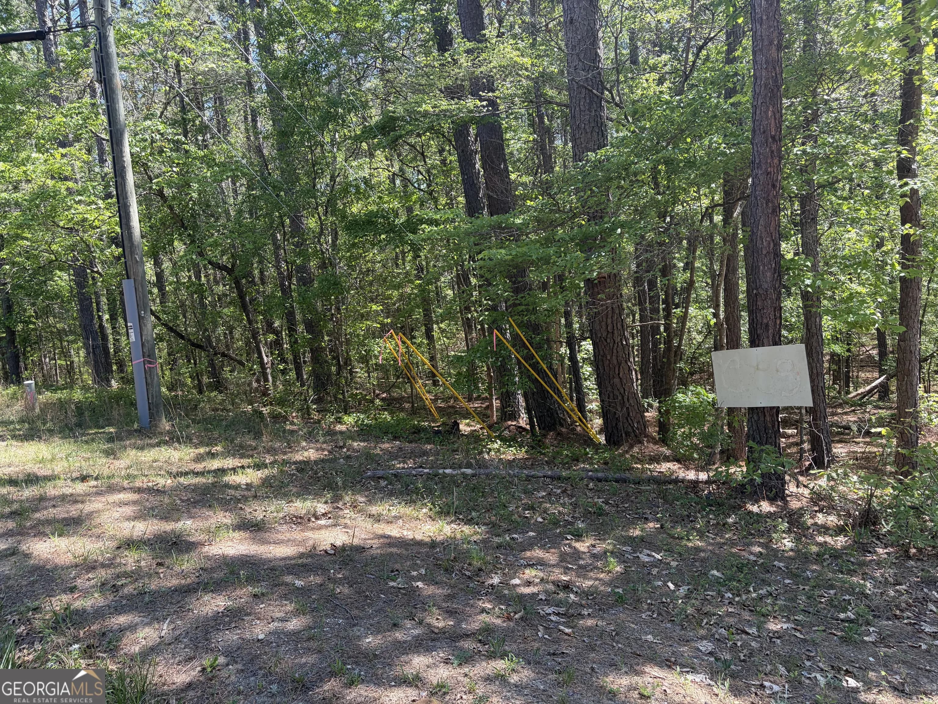 0 Gore Lakes Rd — photo 3 of 3