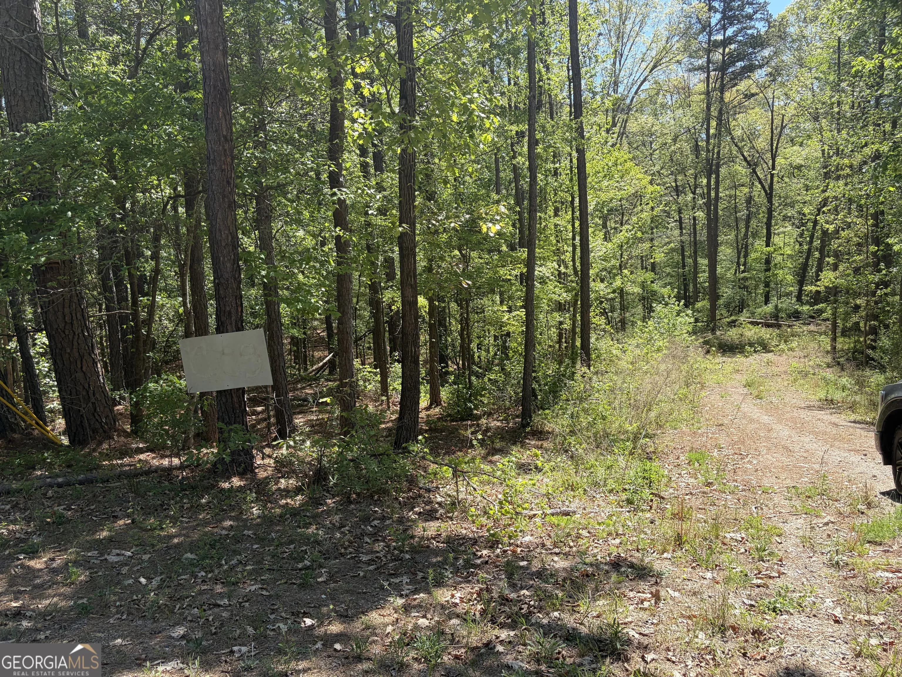 0 Gore Lakes Rd — photo 2 of 3