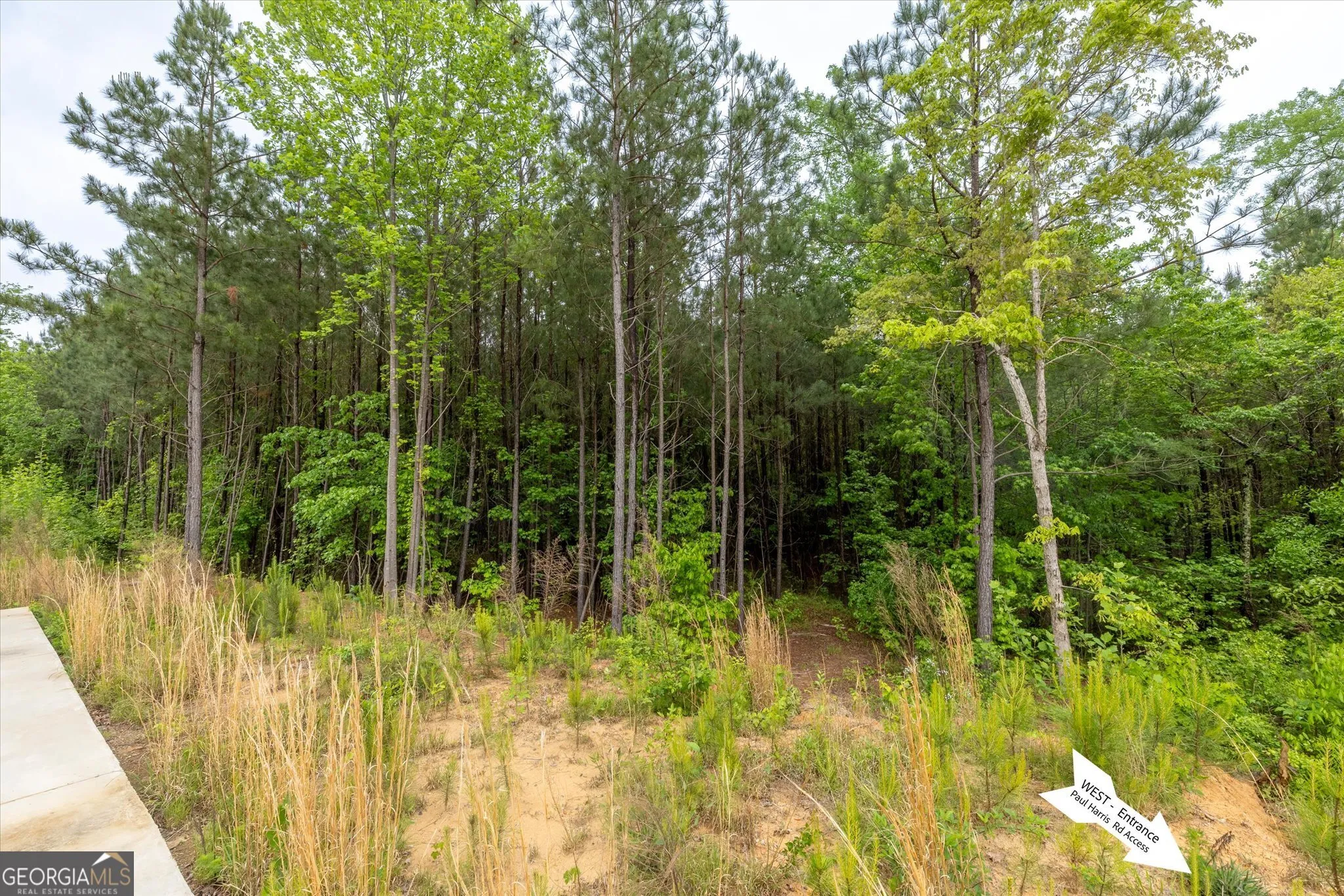 51 Paul Harris Rd — photo 12 of 12
