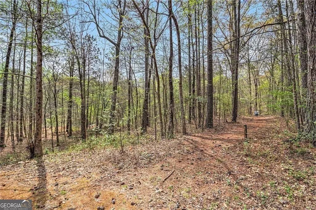7497 Treehouse Ct — photo 51 of 64