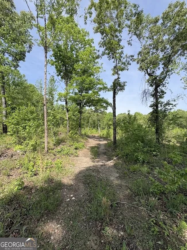 0 Roy Dean Rd — photo 21 of 24
