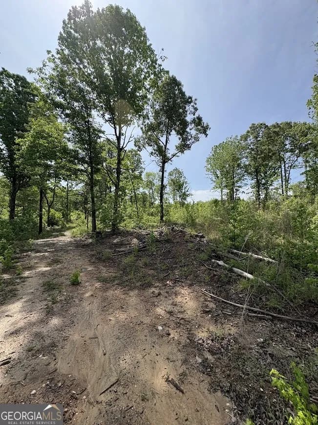 0 Roy Dean Rd — photo 22 of 24