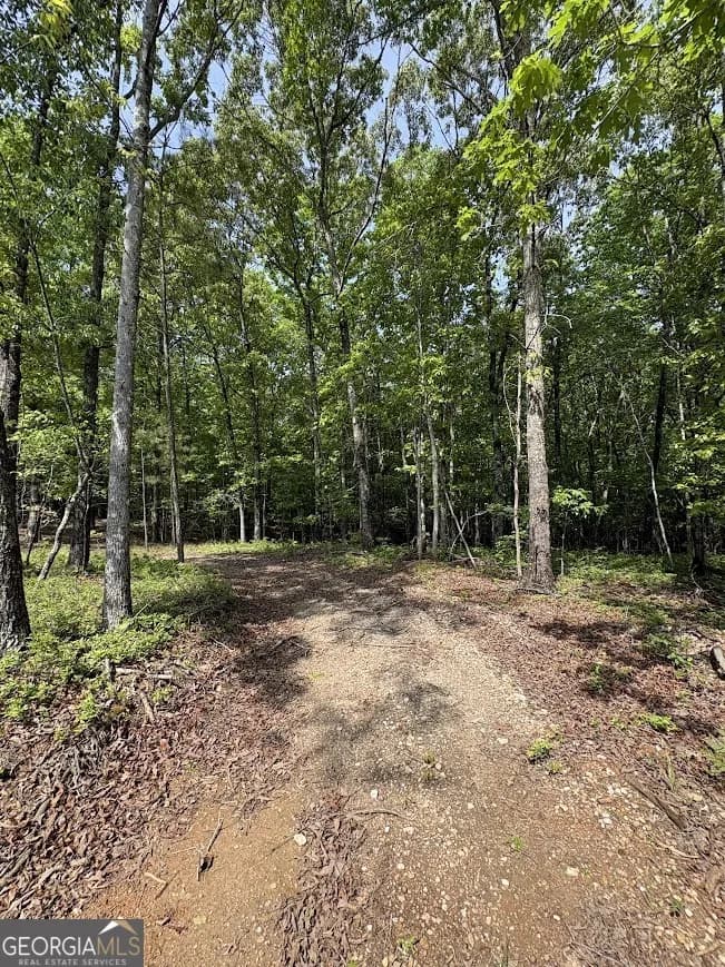 0 Roy Dean Rd — photo 13 of 24