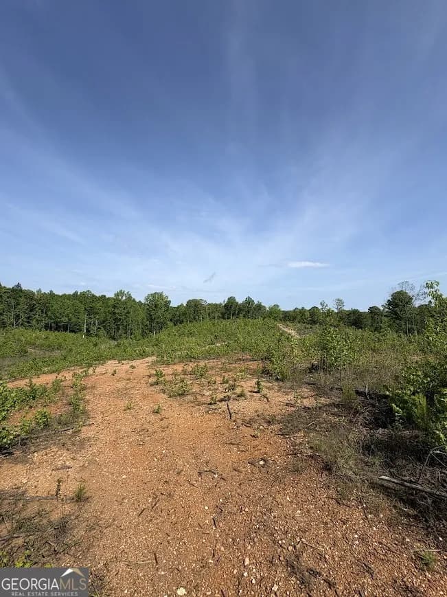 0 Roy Dean Rd — photo 6 of 24