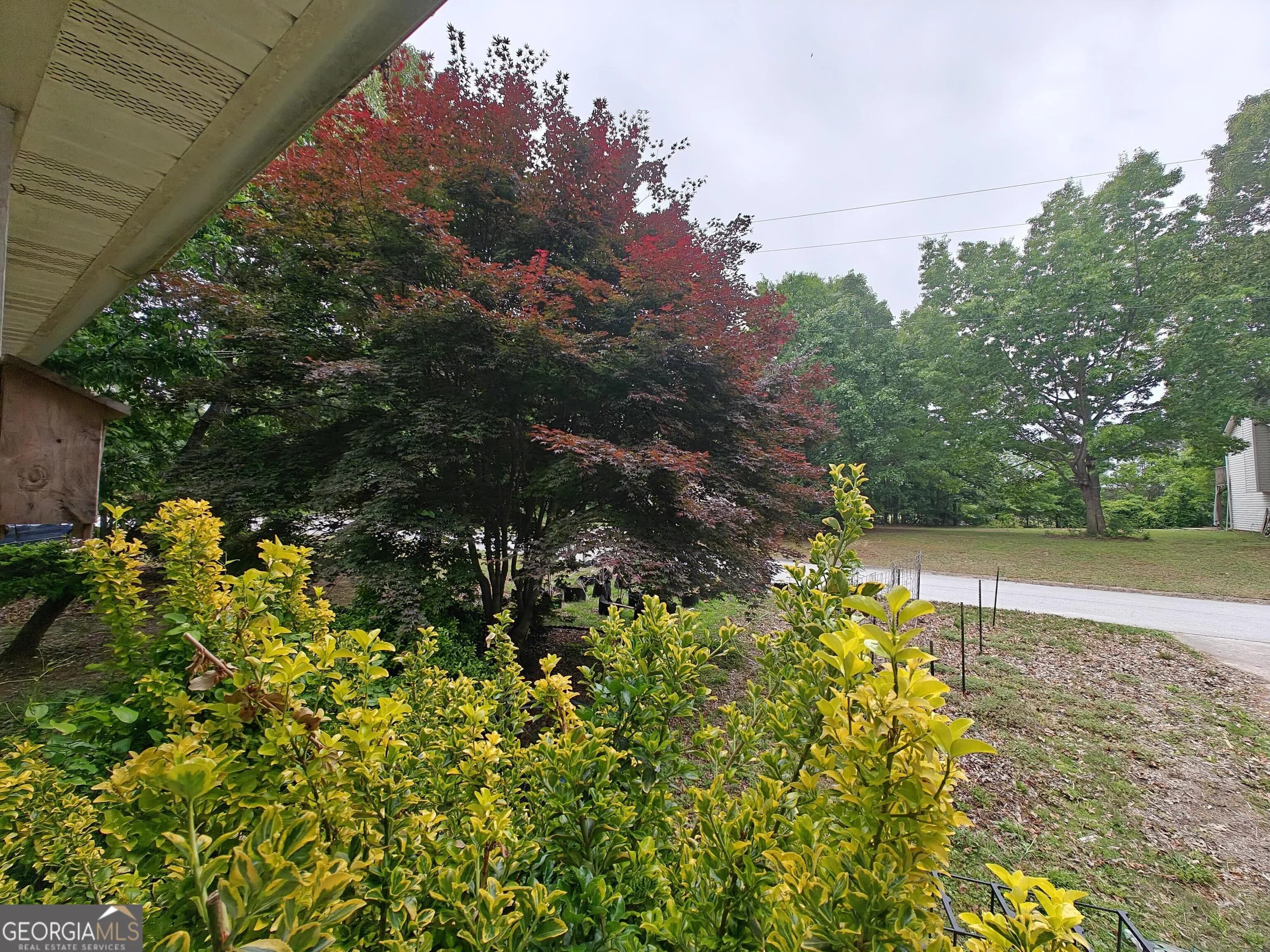 115 Cash Way — photo 4 of 16