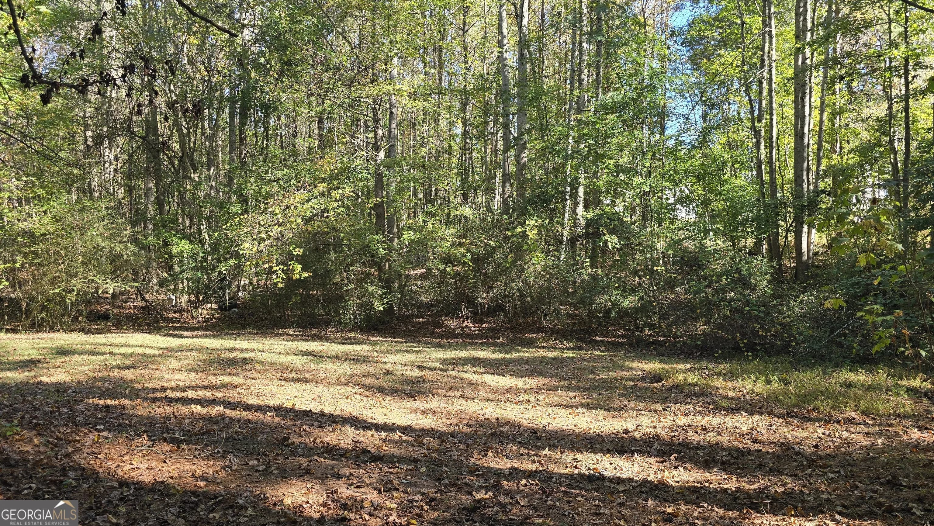 377 Dock Hyde Rd — photo 16 of 34
