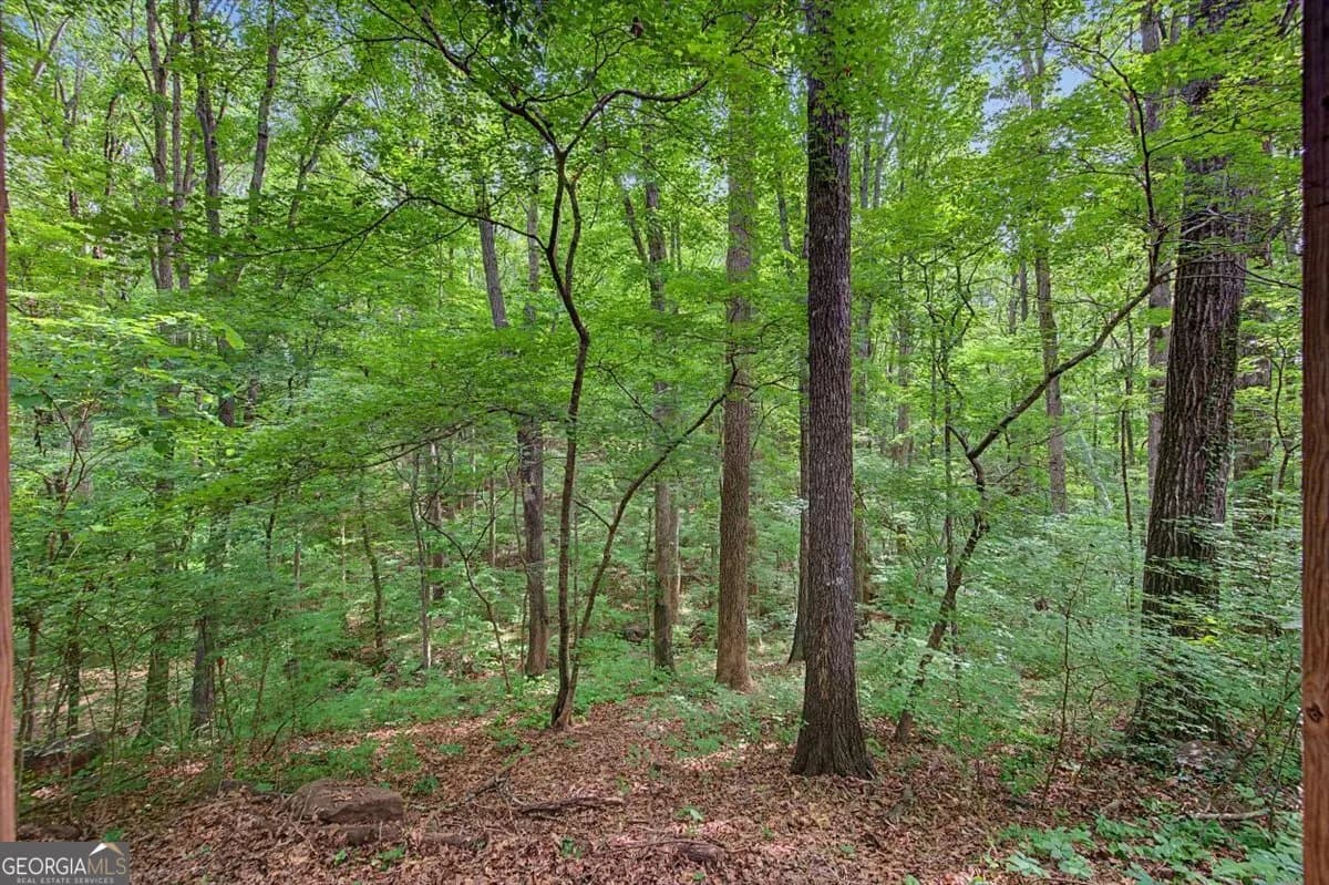 251 Paces Lakes Dr — photo 29 of 44