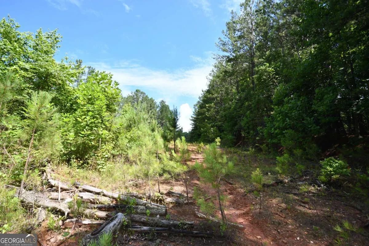 00008 Windridge Ln — photo 11 of 26
