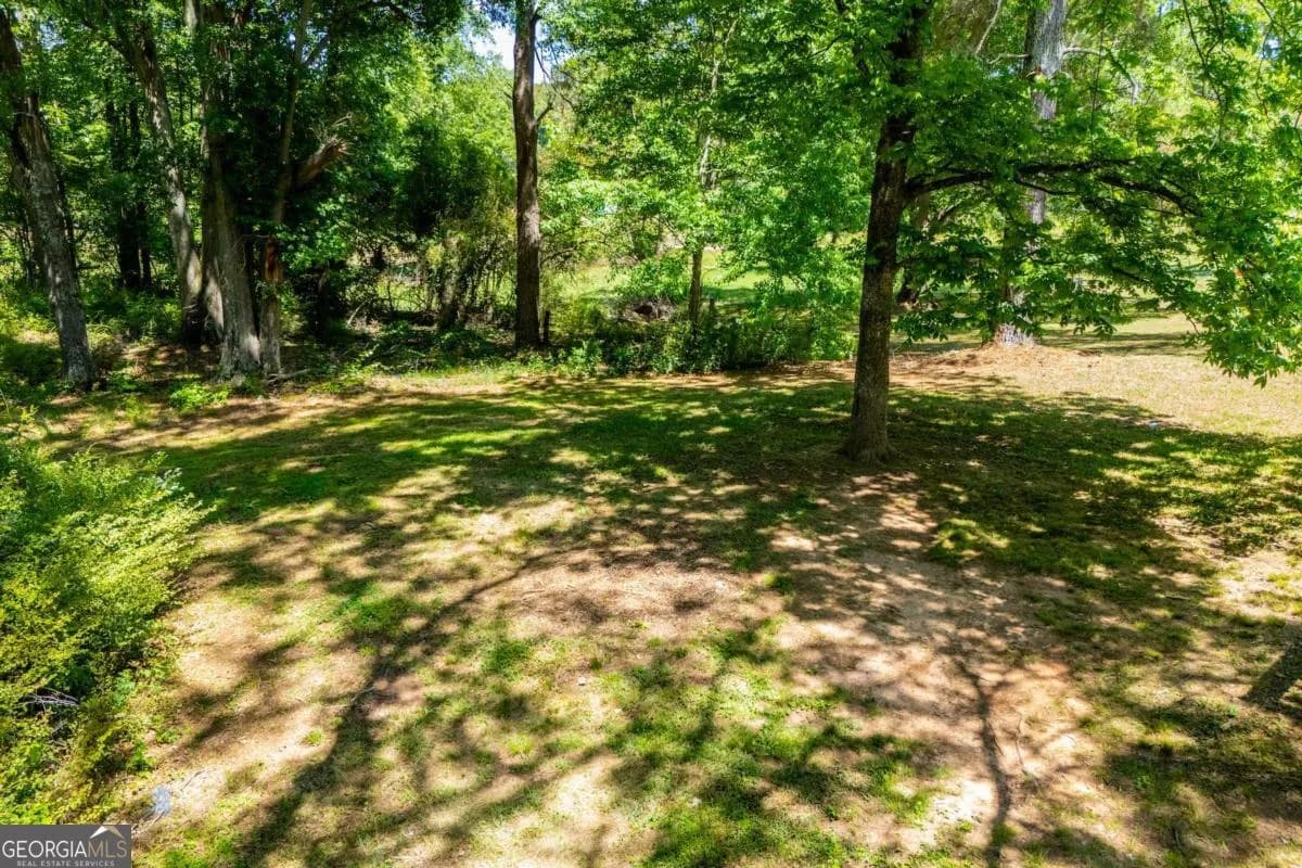 801 Bowdon Tyus Rd — photo 52 of 62