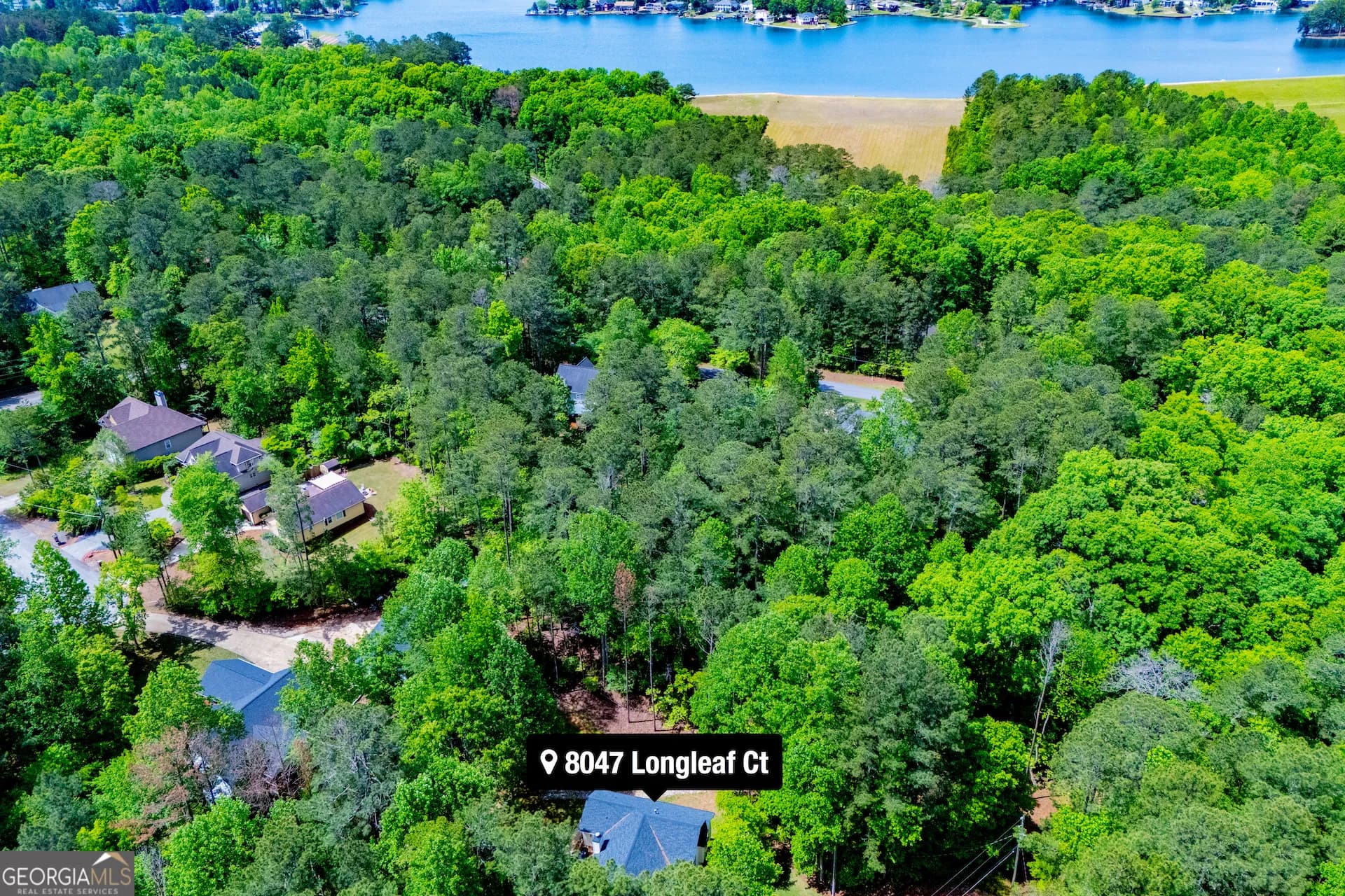 8047 Longleaf Ct — photo 55 of 60