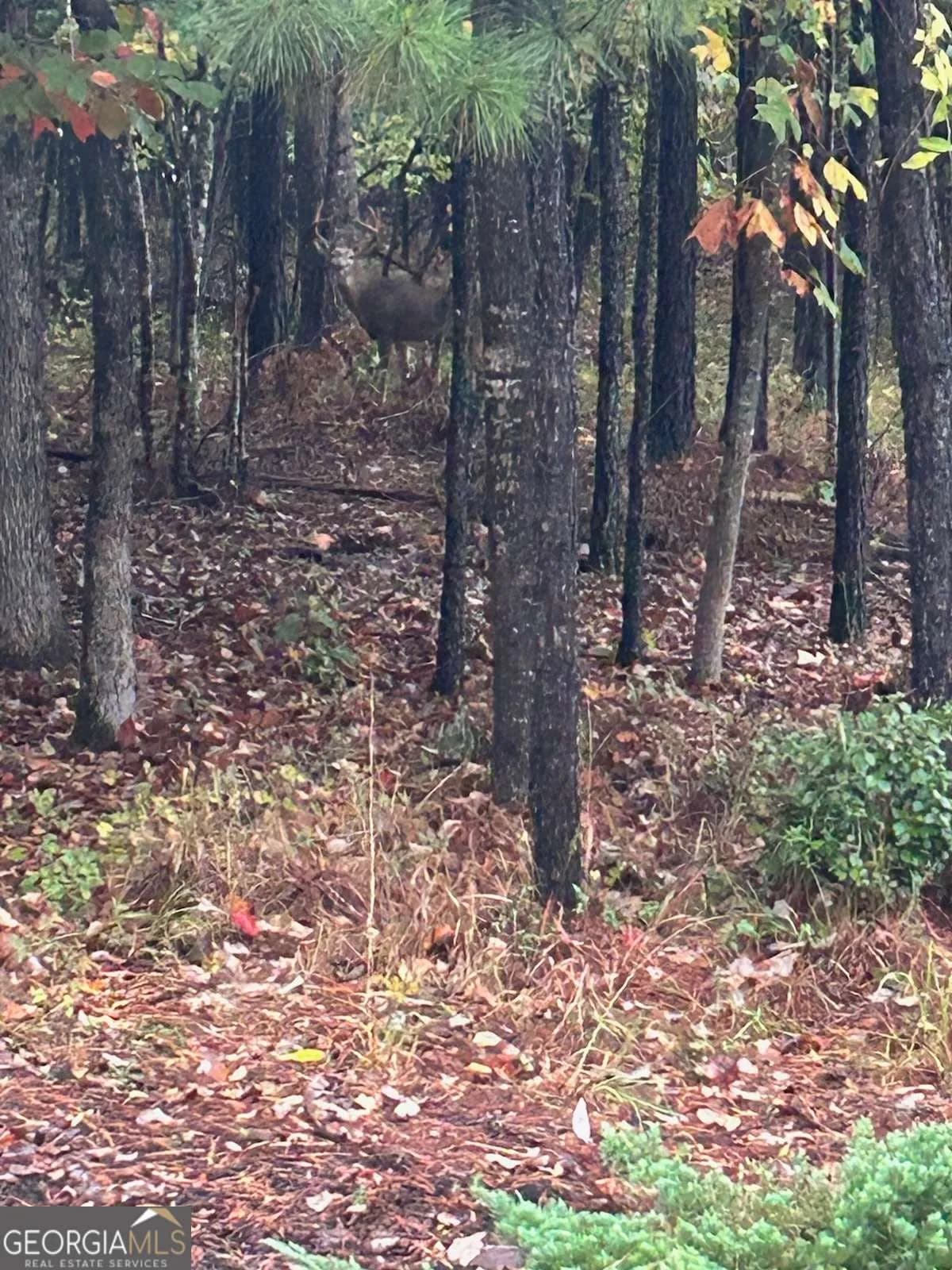 180 Talking Leaves Ct — photo 20 of 27