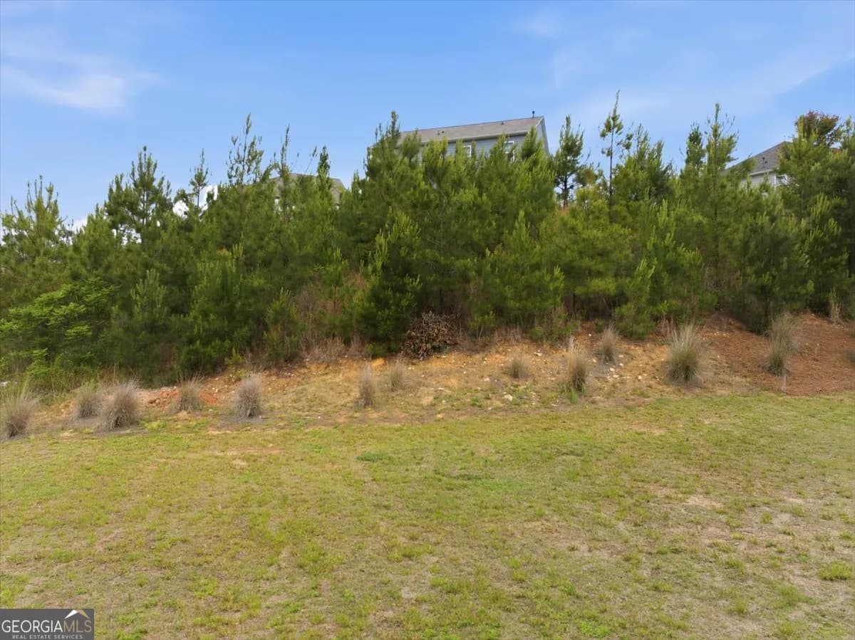 250 Sweet Bay Ln — photo 50 of 63