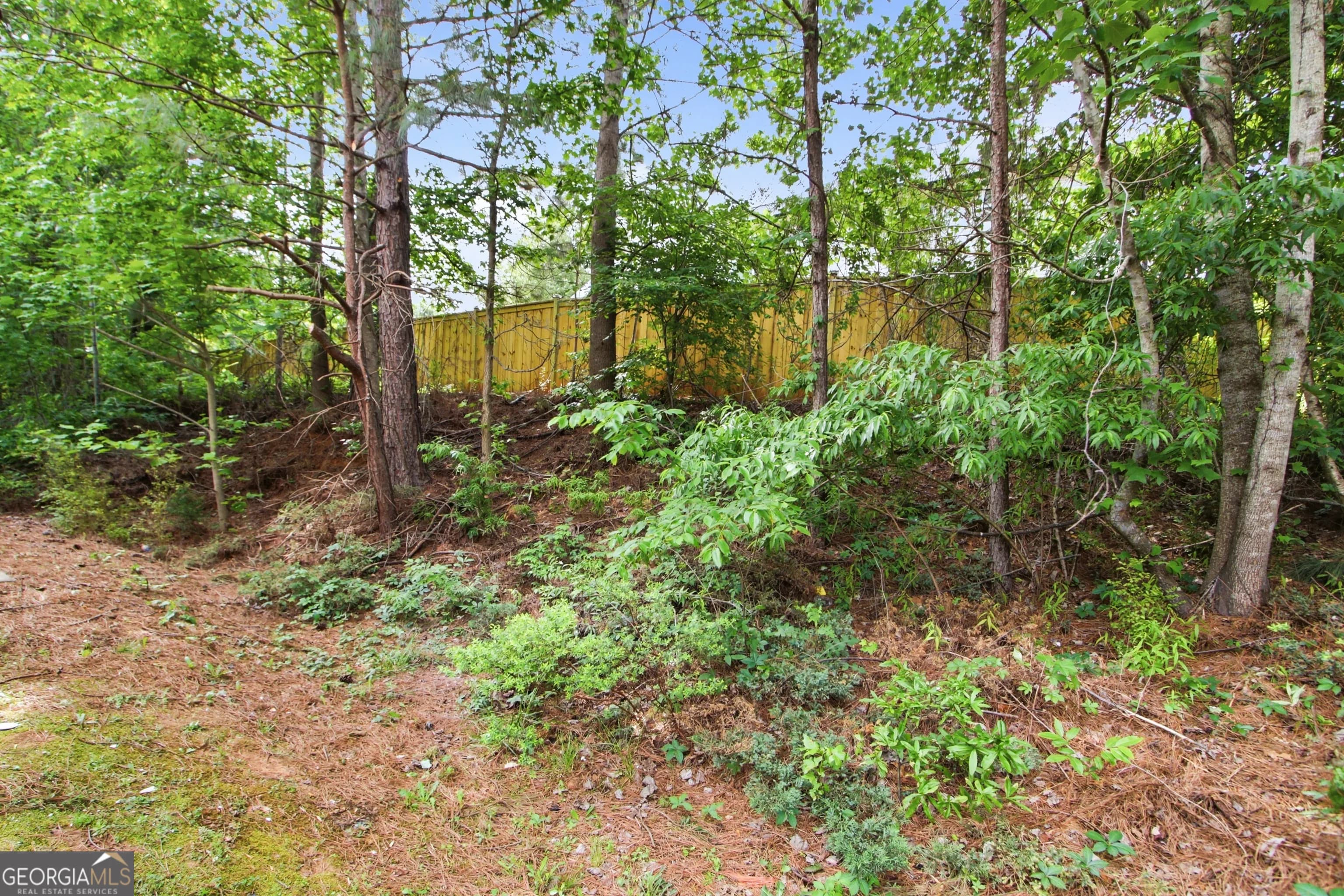3105 Anneewakee Falls Pkwy — photo 33 of 40