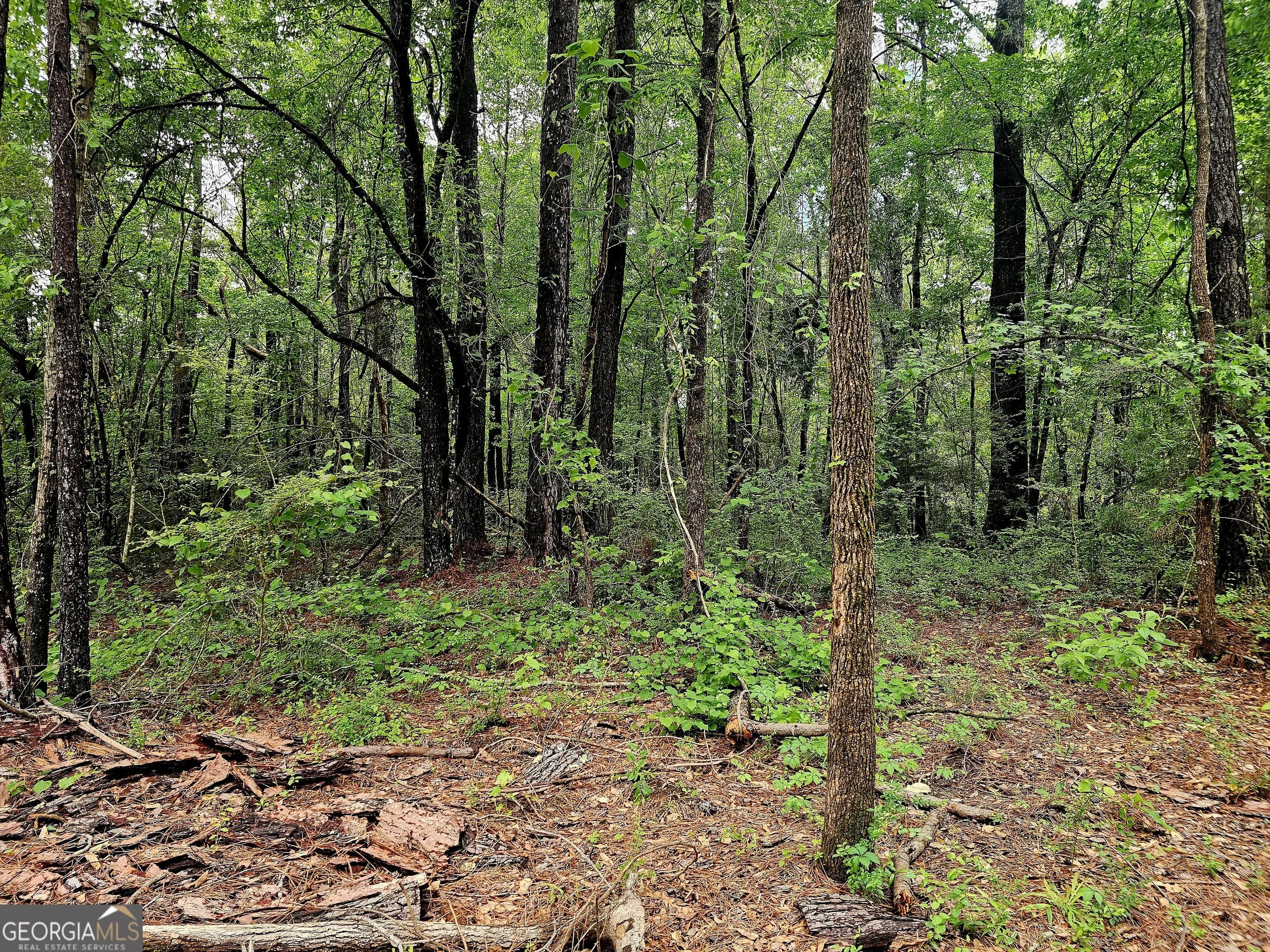 0 School House Hill Rd — photo 8 of 8