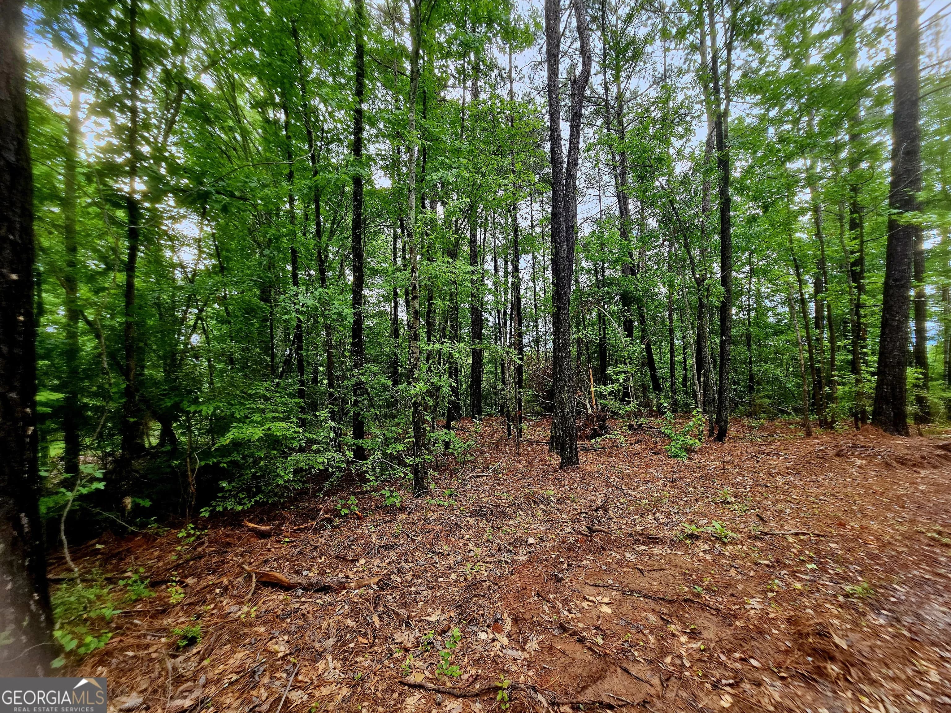 0 School House Hill Rd — photo 7 of 8